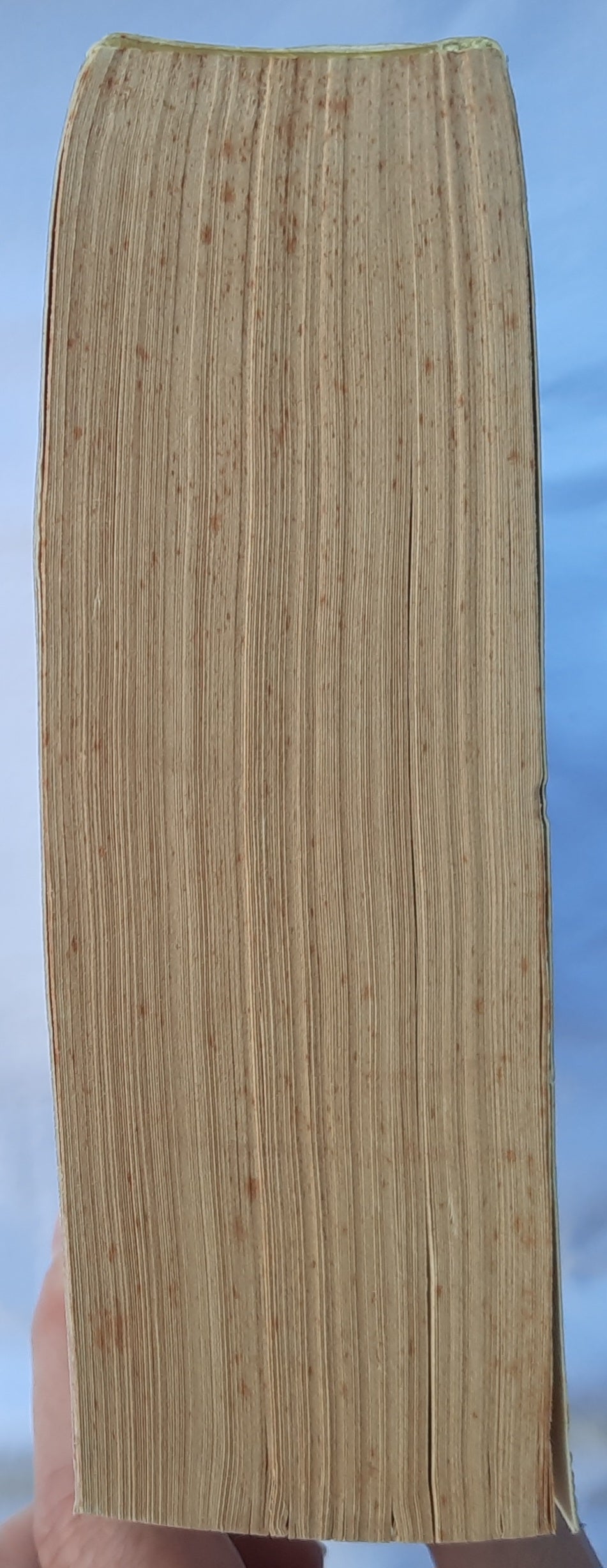 CEV The Promise Bible (Very good, 1995, Pbk, 1473 pages, Thomas Nelson)