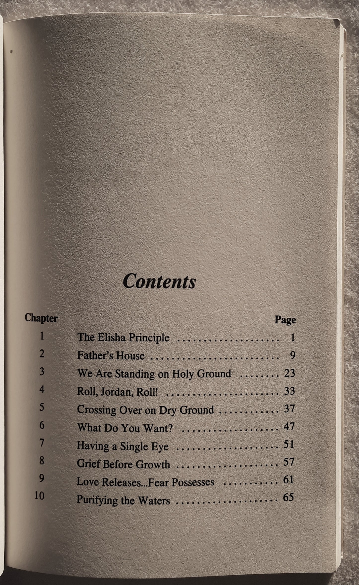 The Elisha Principle Jordan Revisted by Mark Chironna (Very good, 1985, PBk, 86 pages, Destiny Image)