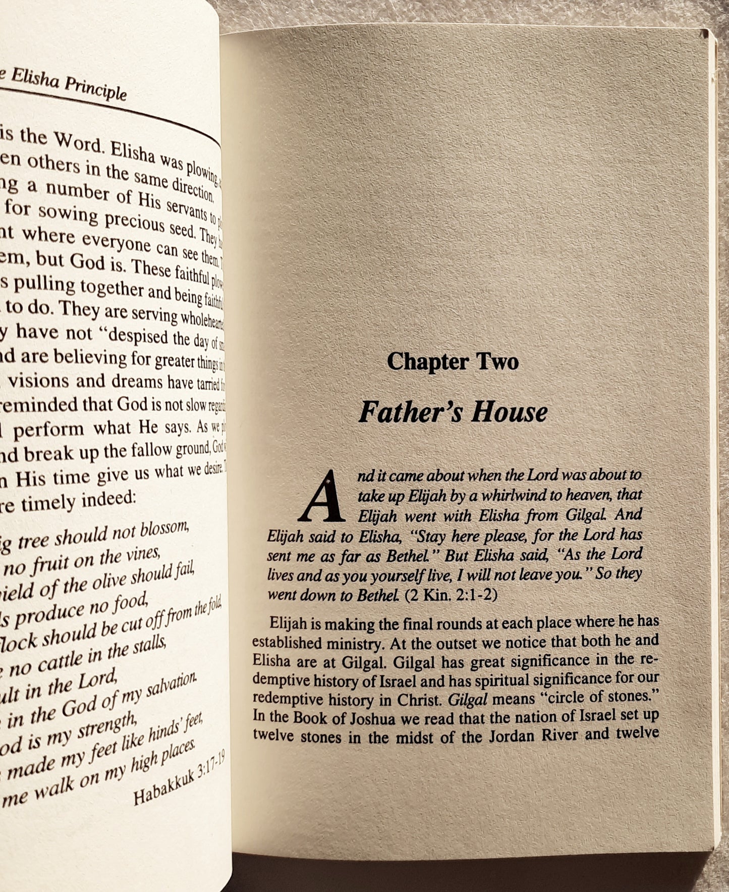 The Elisha Principle Jordan Revisted by Mark Chironna (Very good, 1985, PBk, 86 pages, Destiny Image)