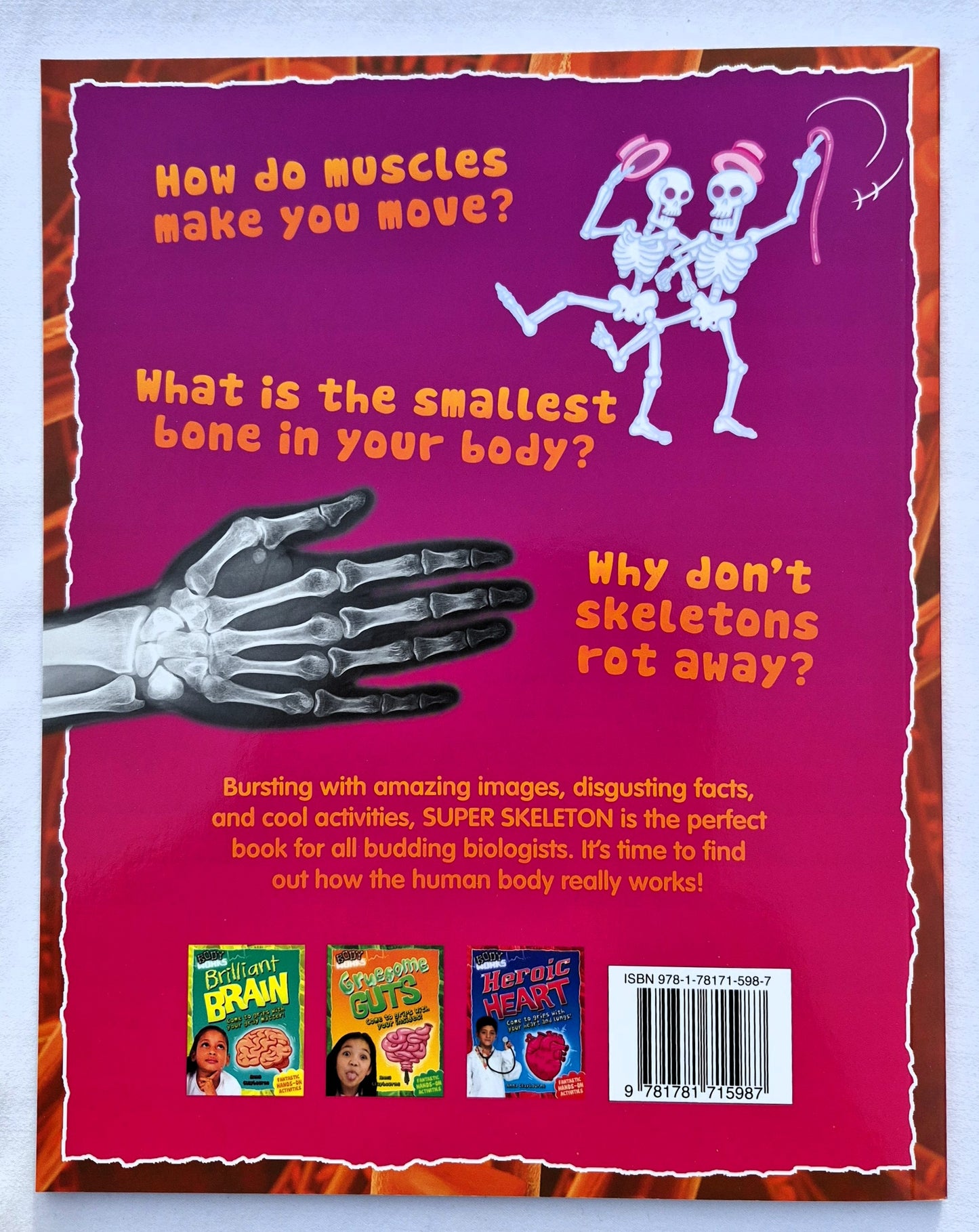 Super Skeleton: Komm deinen Knochen und Muskeln auf die Spur! von Anna Claybourne (Body Works, Neu, 2013, Taschenbuch, 32 Seiten, QEB Publishing)