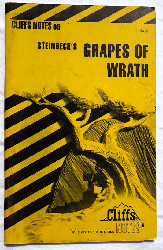 Grapes of Wrath by John Steinbeck (Good, 1993, Pbk, 72 pages, Cliffs Notes)