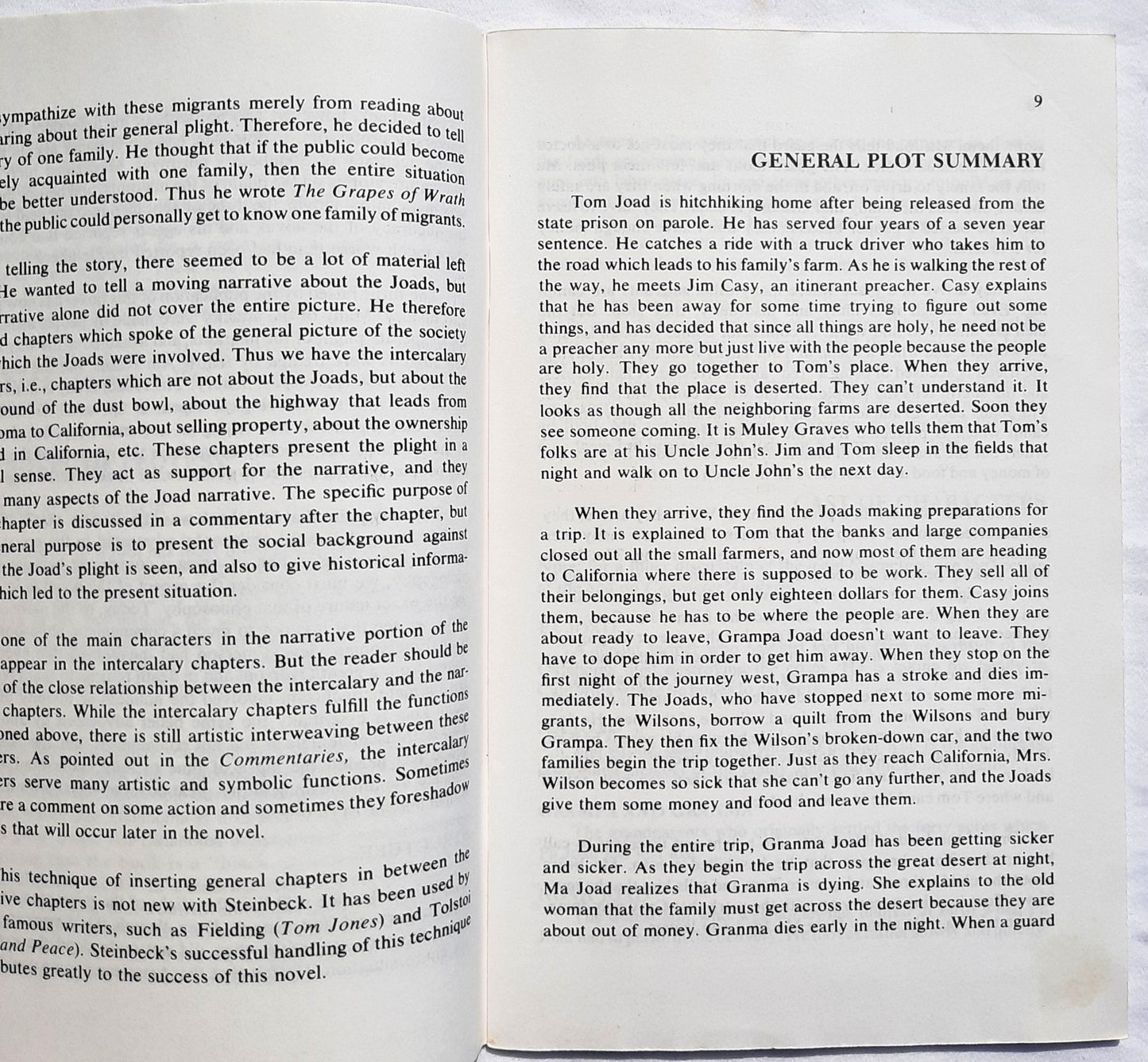 Grapes of Wrath by John Steinbeck (Good, 1993, Pbk, 72 pages, Cliffs Notes)