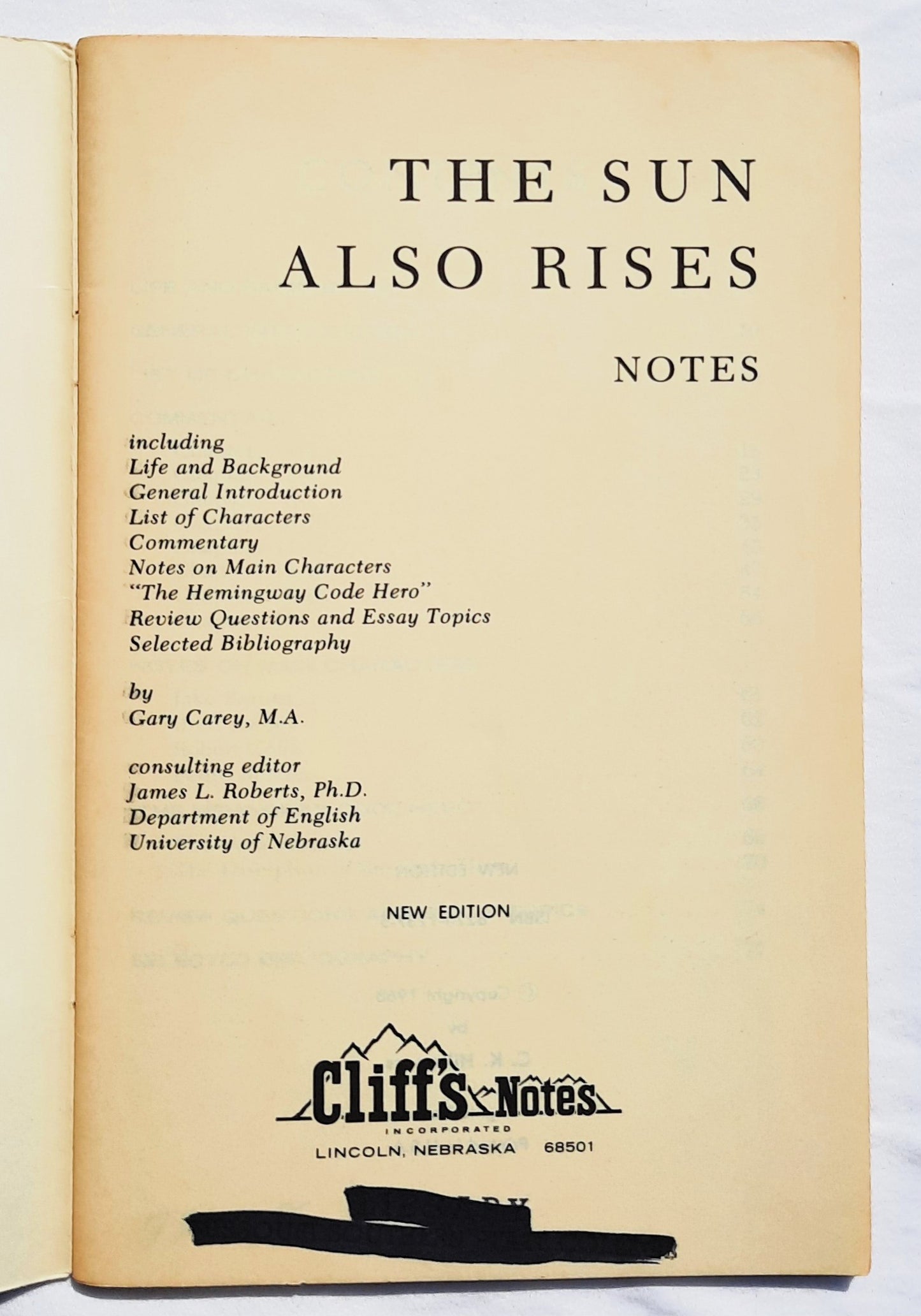 The Sun Also Rises by Ernest Hemingway (Good, 1968, Pbk, 80 pages, Cliffs Notes)