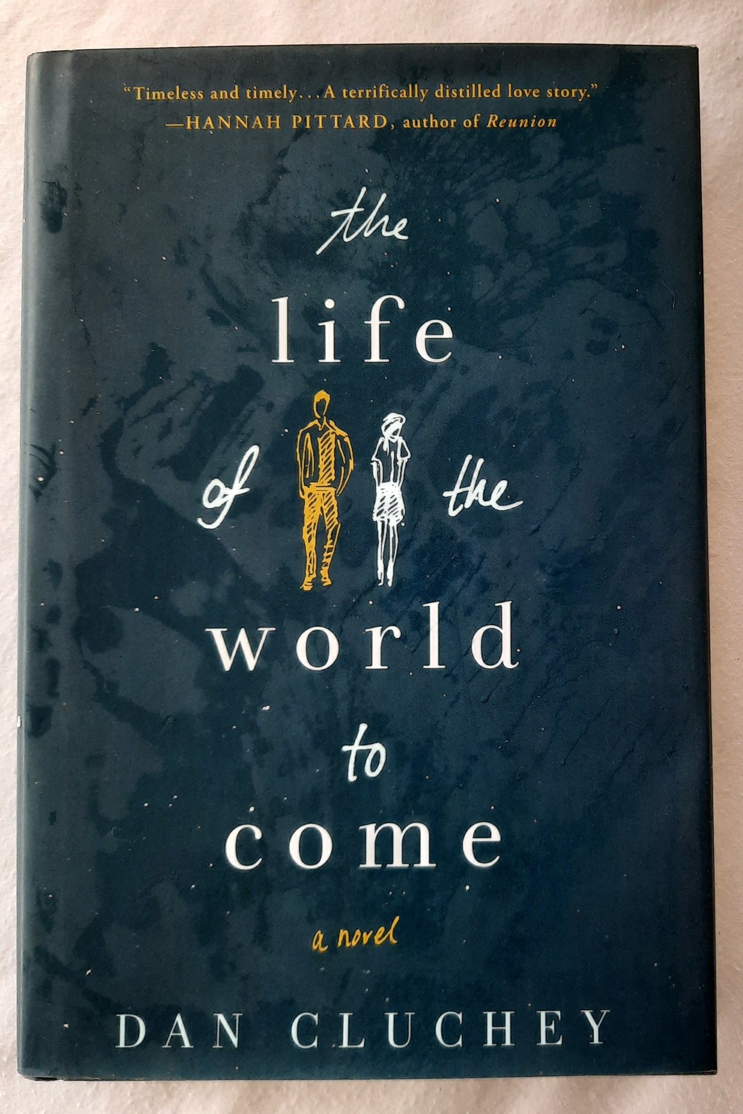 The Life of the World to Come by Dan Cluchey (Very good, 2016, HC, 244 pages, St. Martin's Press)