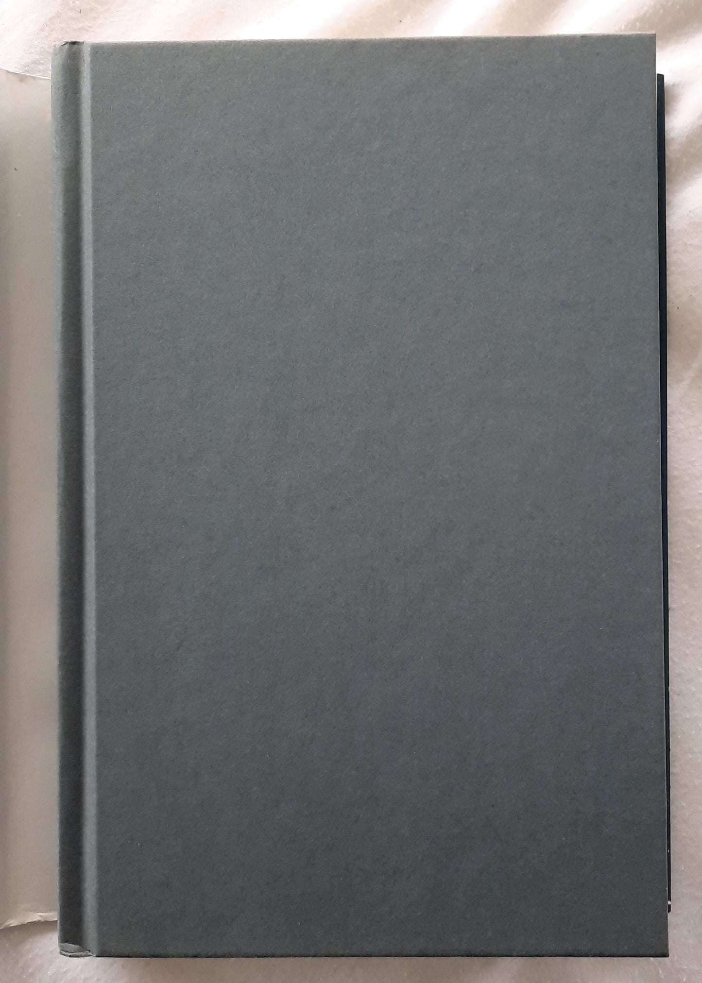 The Life of the World to Come by Dan Cluchey (Very good, 2016, HC, 244 pages, St. Martin's Press)