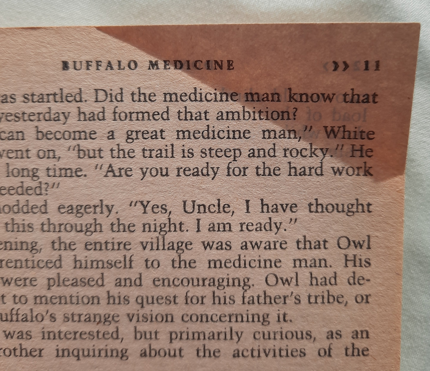 Buffalo Medicine by Don Coldsmith (The Spanish Bit Saga #4, Good, 1988, Pbk, 196 pages, Bantam Books)