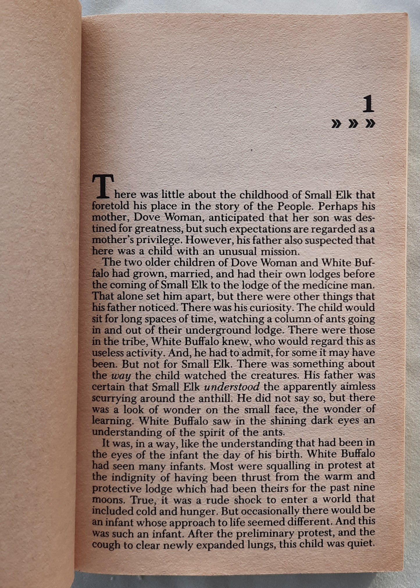 The Changing Wind by Don Coldsmith (The Spanish Bit Super Edition, Good, 1990, Pbk, 310 pages, Bantam Books)