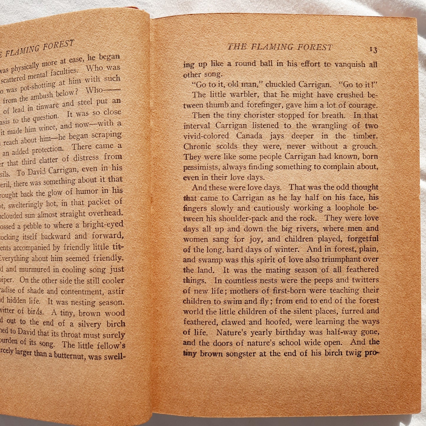 The Flaming Forest by James Oliver Curwood (Good, 1921, HC, 296 pages, Grosset & Dunlap)