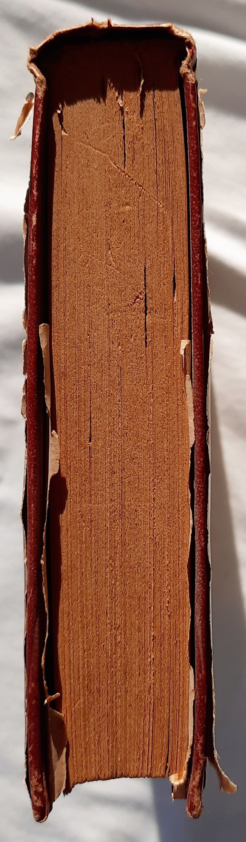 The Flaming Forest by James Oliver Curwood (Good, 1921, HC, 296 pages, Grosset & Dunlap)