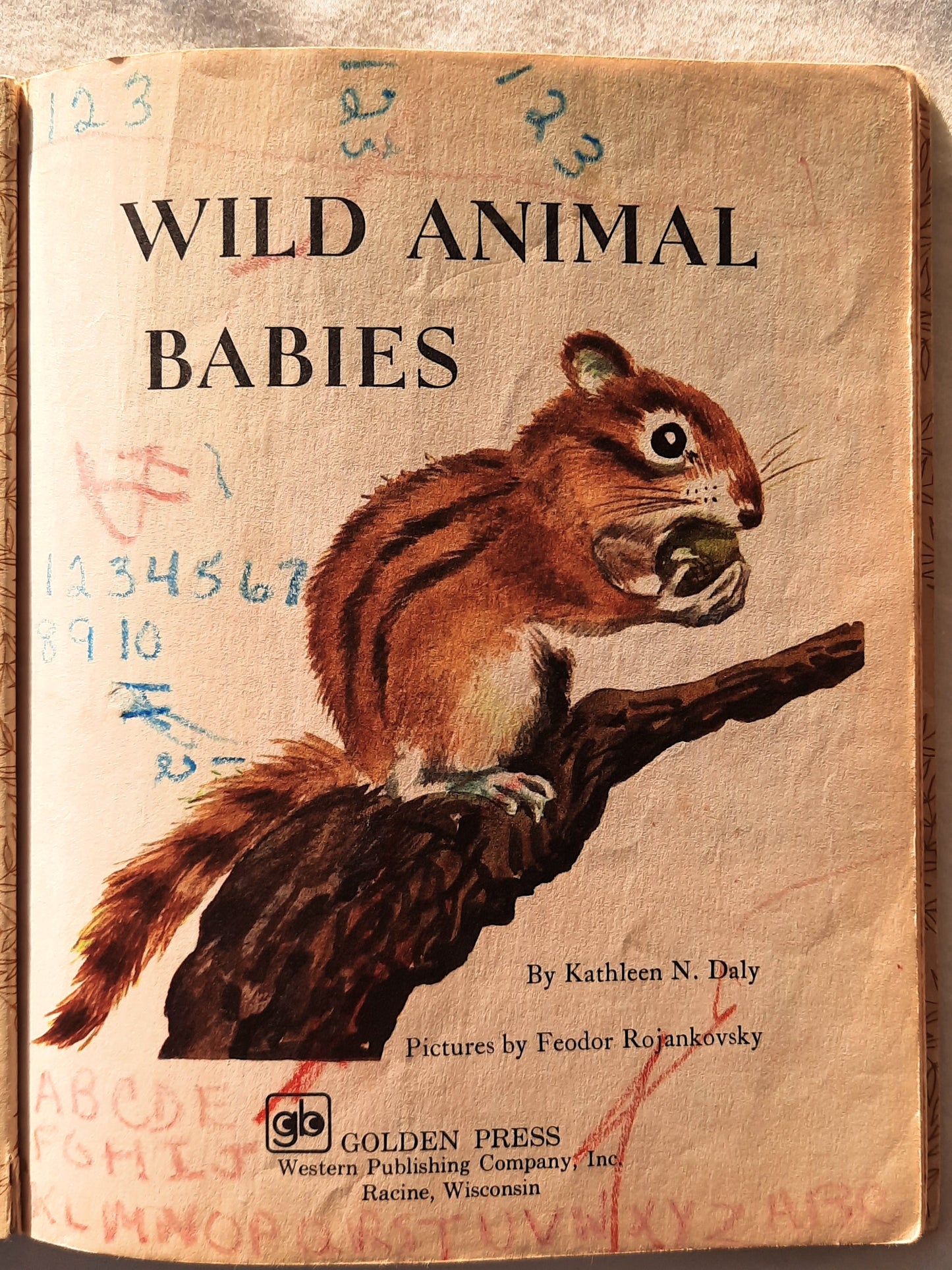 Wild Animal Babies by Kathleen N. Daly (Acceptable, 1972, HC, 24 pages, A Golden Book)