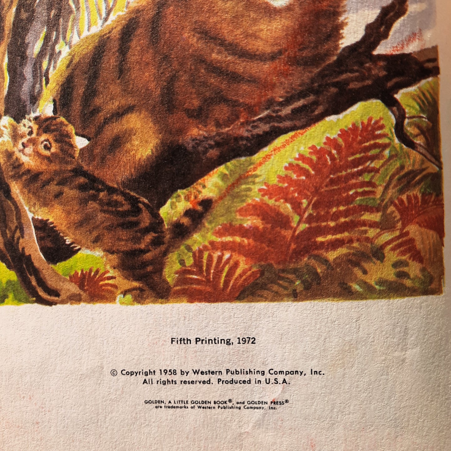 Wild Animal Babies by Kathleen N. Daly (Acceptable, 1972, HC, 24 pages, A Golden Book)