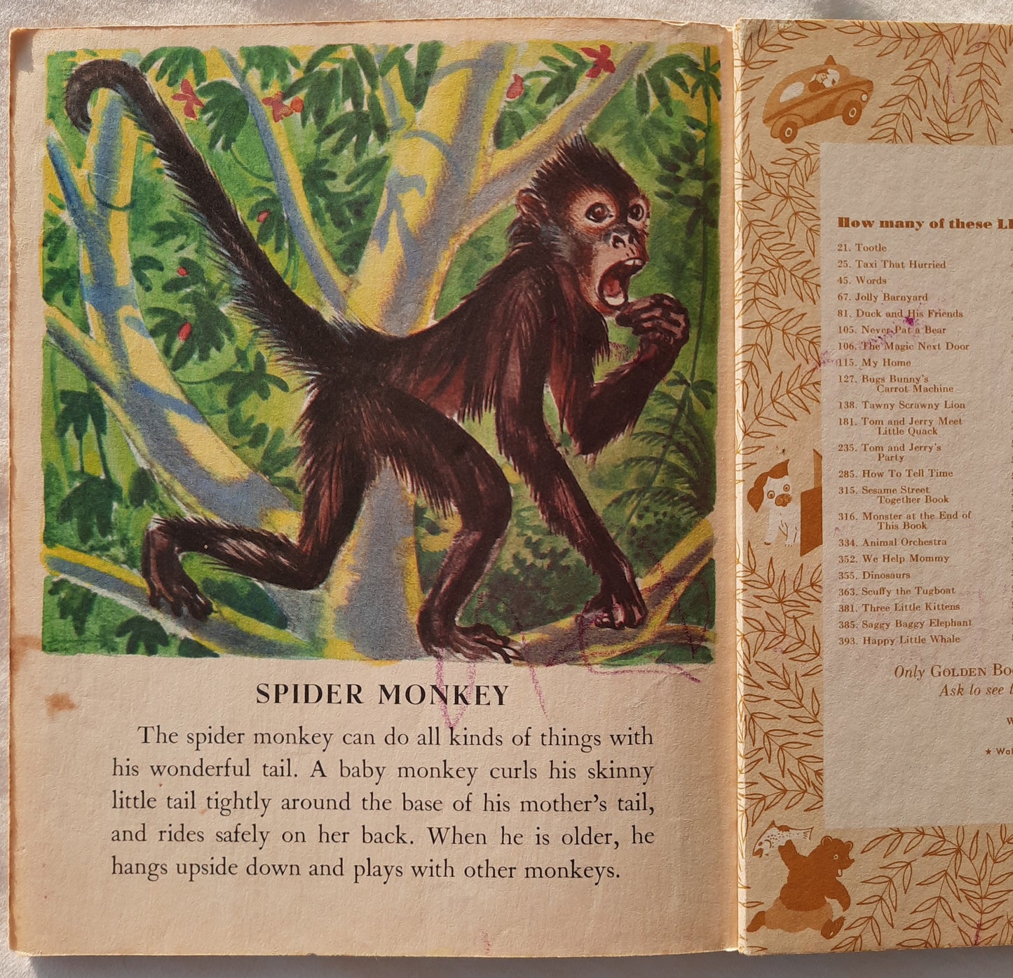 Wild Animal Babies by Kathleen N. Daly (Acceptable, 1972, HC, 24 pages, A Golden Book)