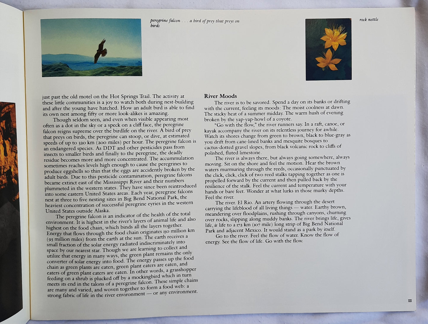 Big Bend: Three Steps to the Sky by Frank Deckert (Very good, 1981, Pbk, 40 pages)