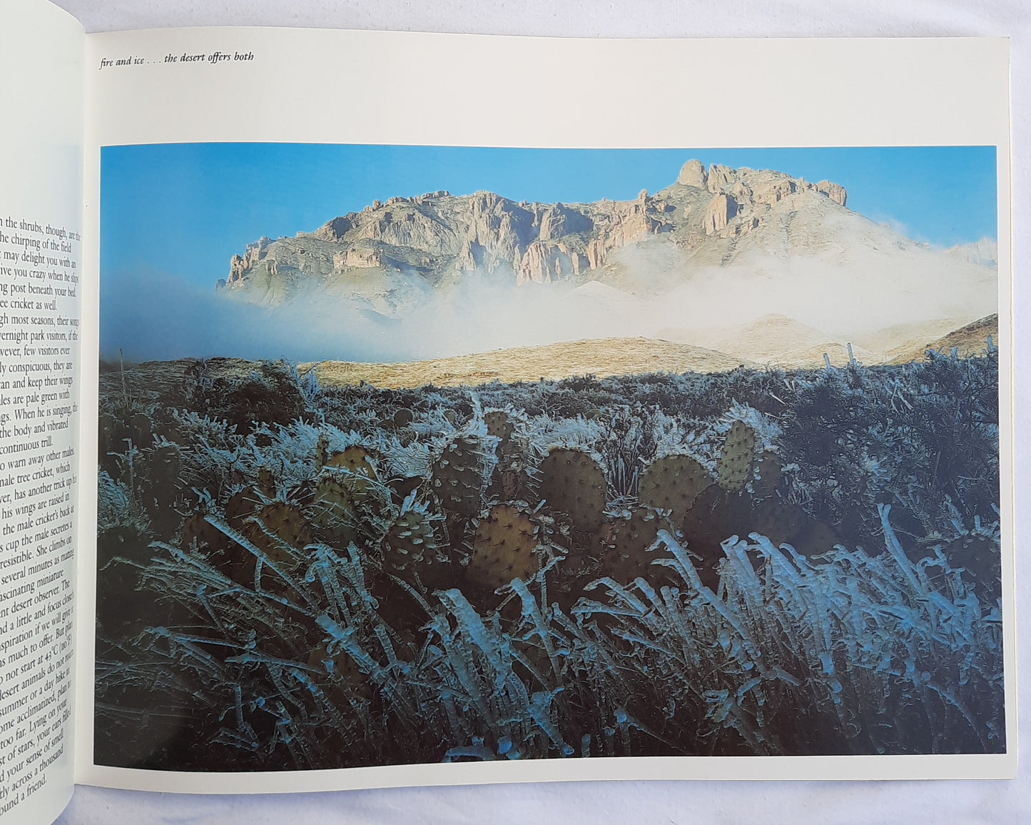 Big Bend: Three Steps to the Sky by Frank Deckert (Very good, 1981, Pbk, 40 pages)