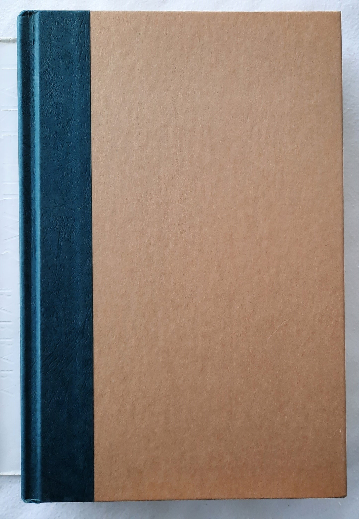 Lake News by Barbara Delinsky (Very good, 1999, HC, 380 pages, Simon & Schuster)
