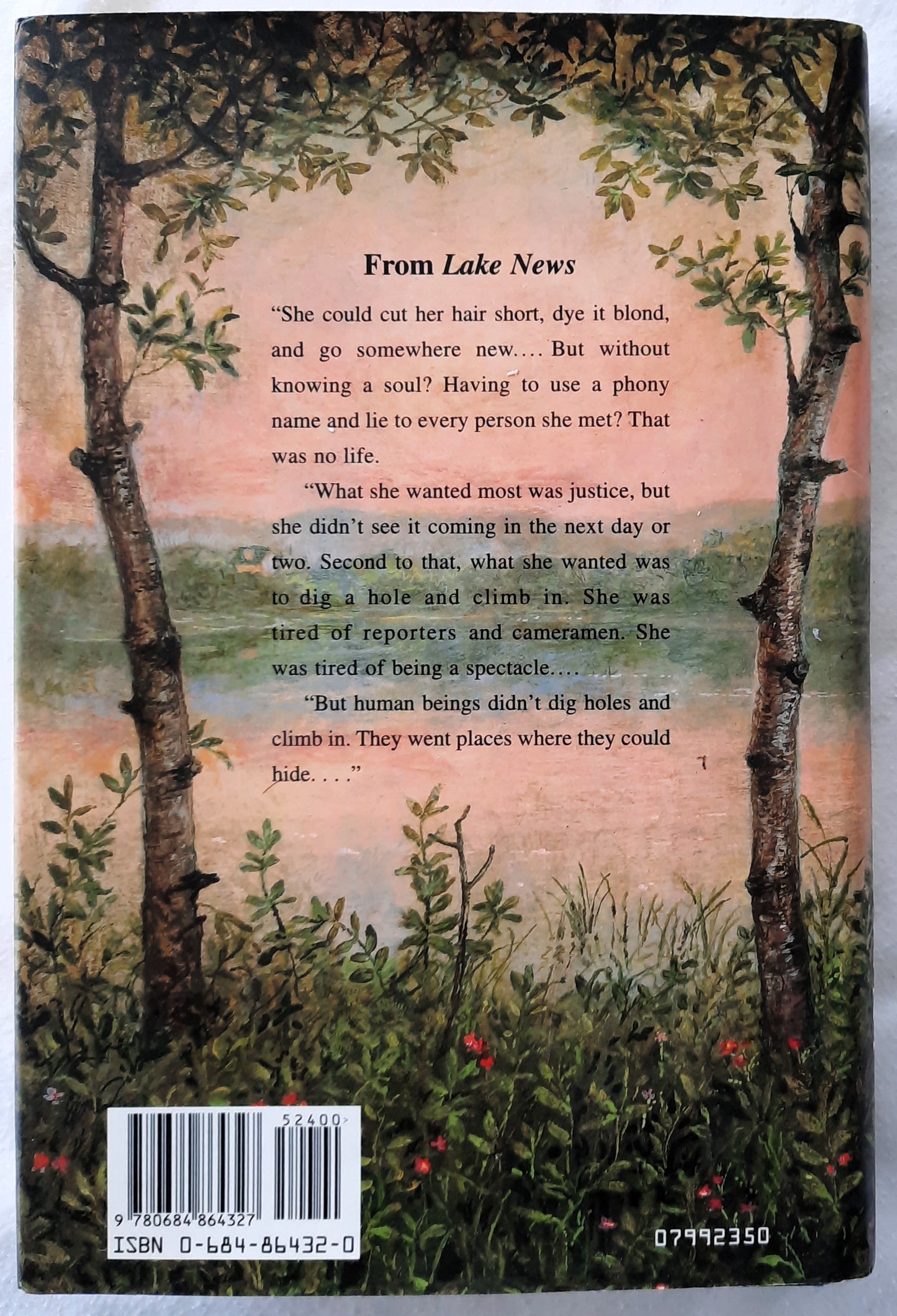 Lake News by Barbara Delinsky (Very good, 1999, HC, 380 pages, Simon & Schuster)