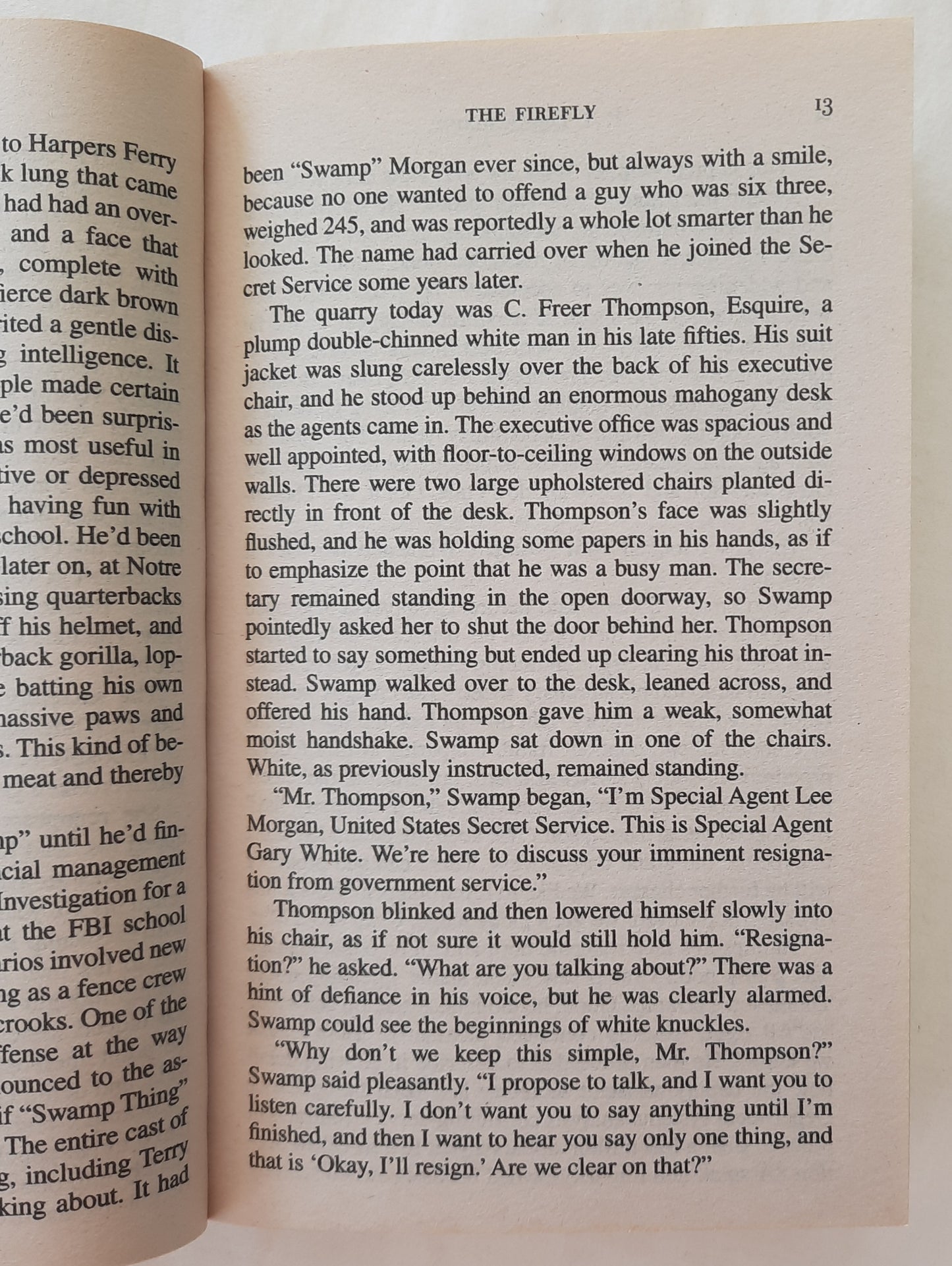 The Firefly by P.T. Deutermann (Very good, 2004, Pbk, 493 pages, St. Martin's Press)