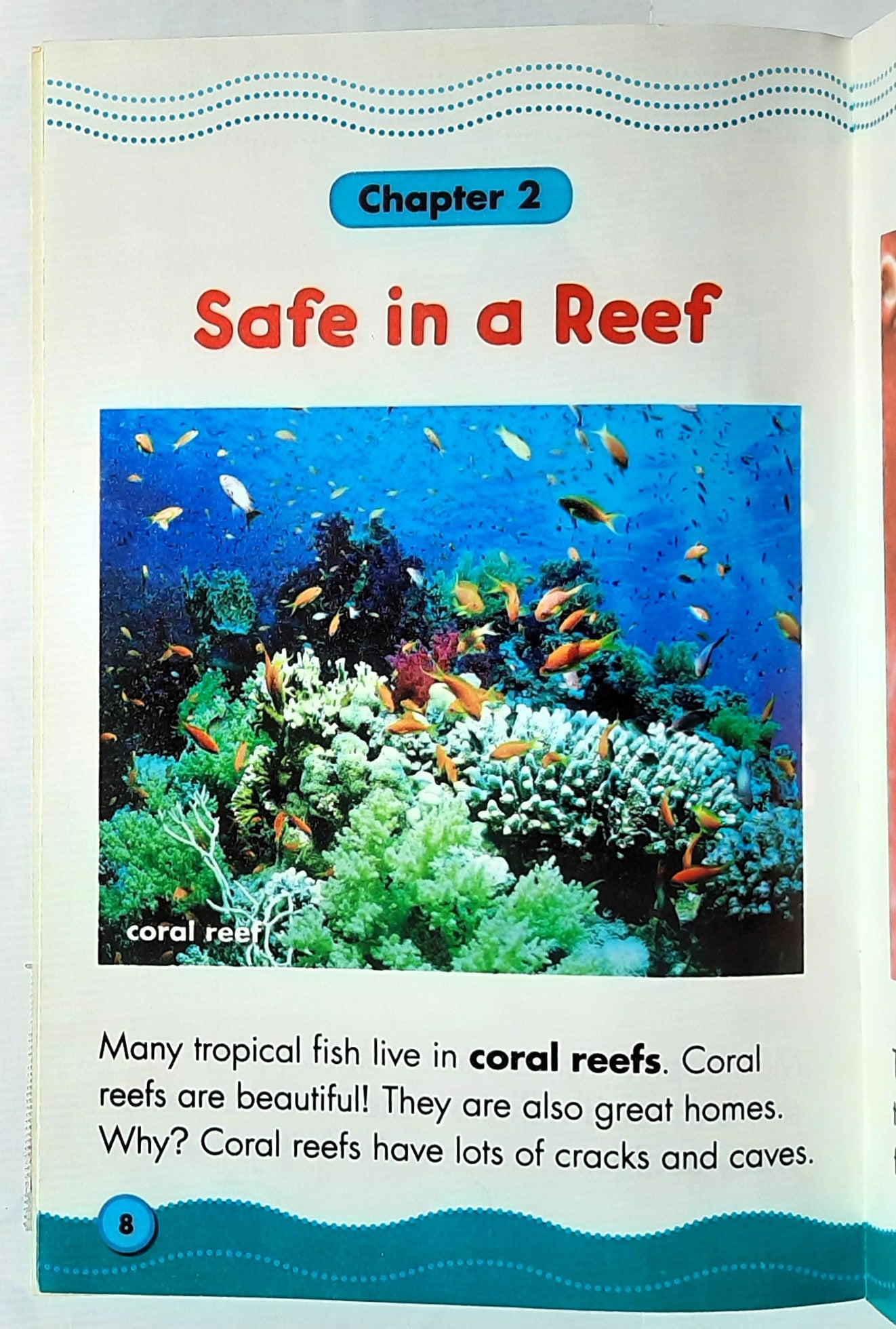 Science Vocabulary Readers: Tropical Fish by Megan Duhamel (Very good, 2008, Pbk, 24 pages, Scholastic)