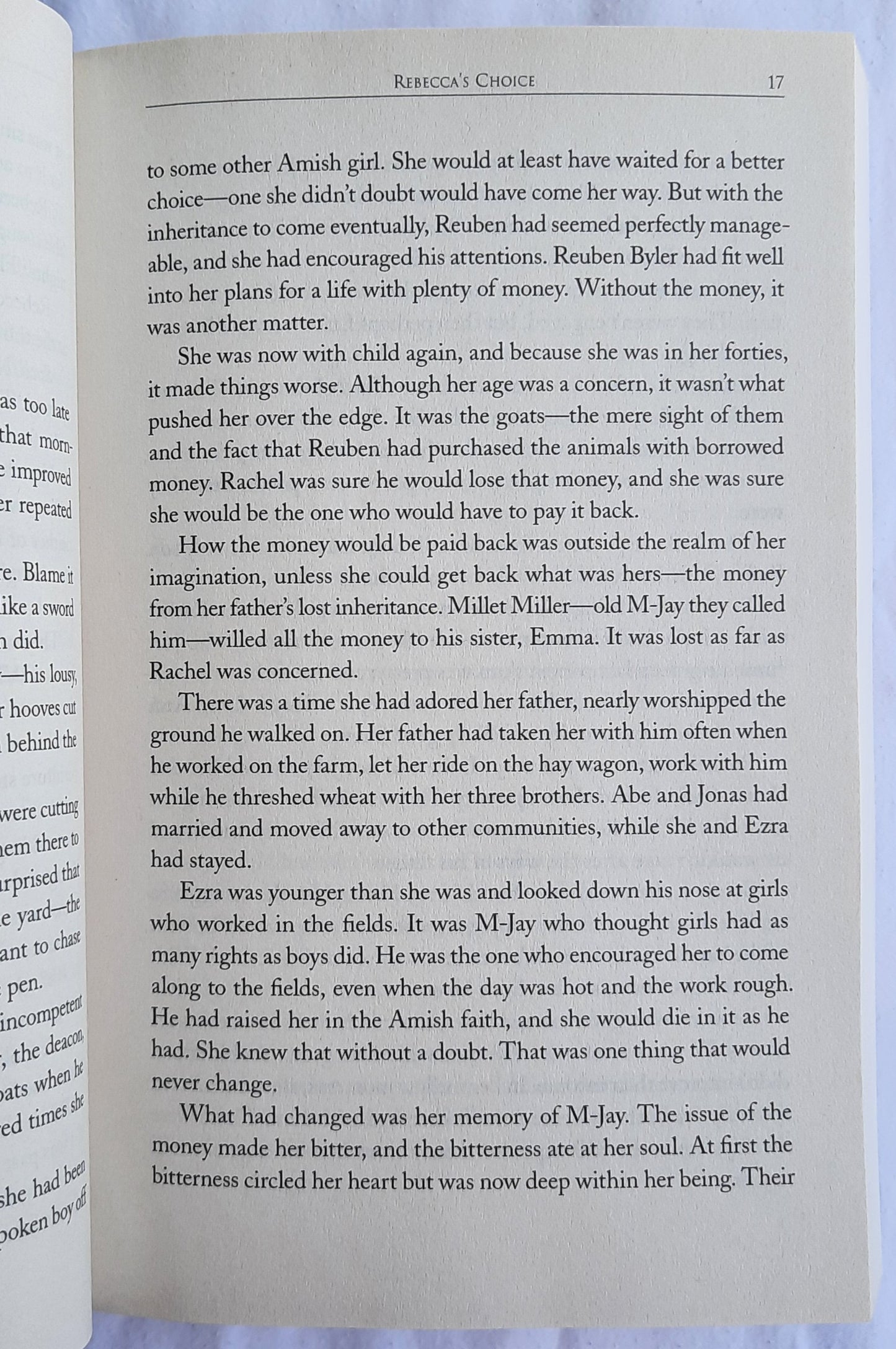 Rebecca's Choice by Jerry S. Eicher (Adams County Trilogy #3, New, 2010, Pbk, 291 pages, Harvest House)