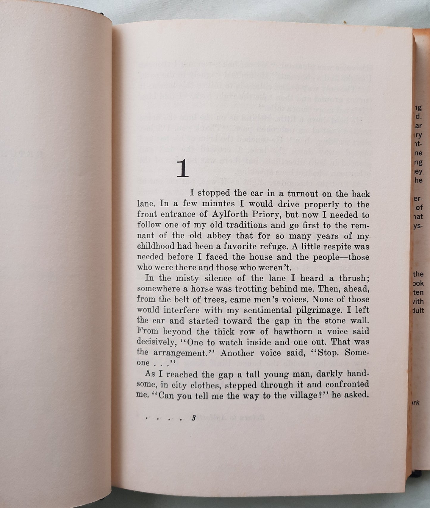 Return to Aylforth by Anne Eliot (Very Good, 1967, HC, 216 pages, Meredith Press)
