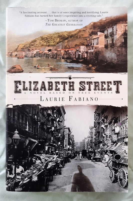 Elizabeth Street by Laurie Fabiano (Very good, 2010, Pbk, 386 pages, Amazon Encore)