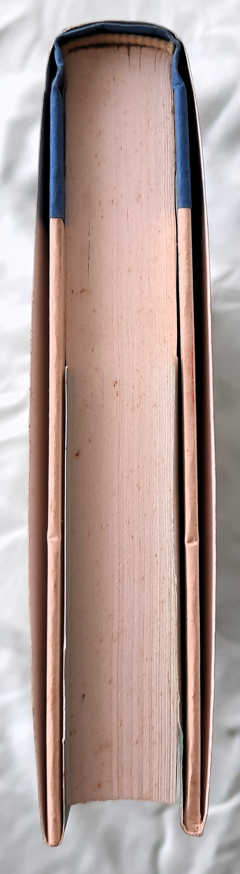 Shem Creek #4 by Dorothea Benton Frank (A LowCountry Tale, Very good, 2004, HC, 313 pages, Berkley Books)