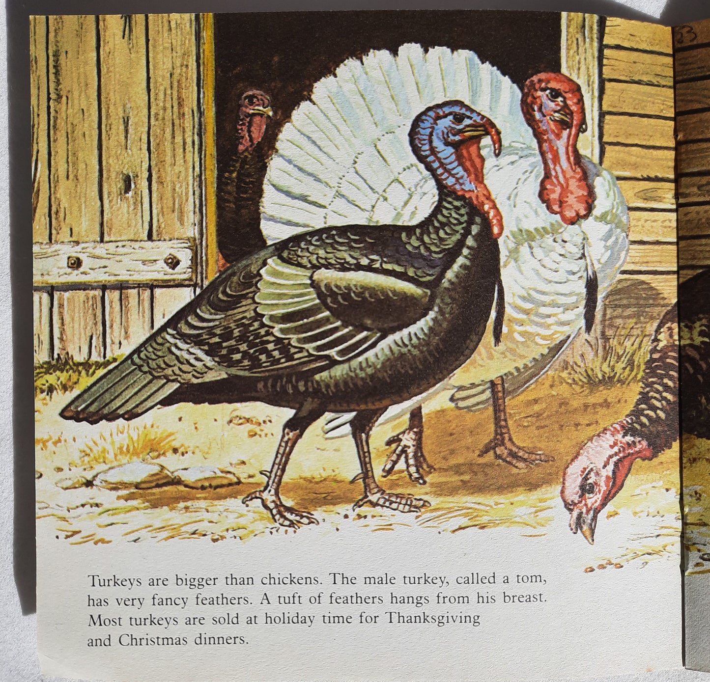 Farm Animals Abridged Edition by Hans Helweg (Very good, 1983, Pbk, 24 pages, Happy House Books)