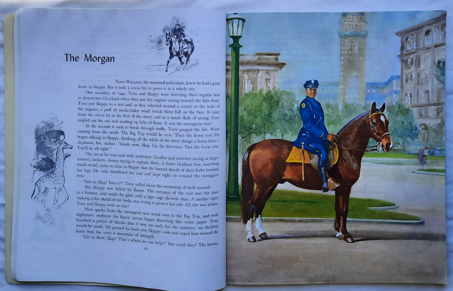Album of Horses by Marguerite Henry; Wesley Dennis (Very good, 1994, Pbk, 110 pages, Scholastic)