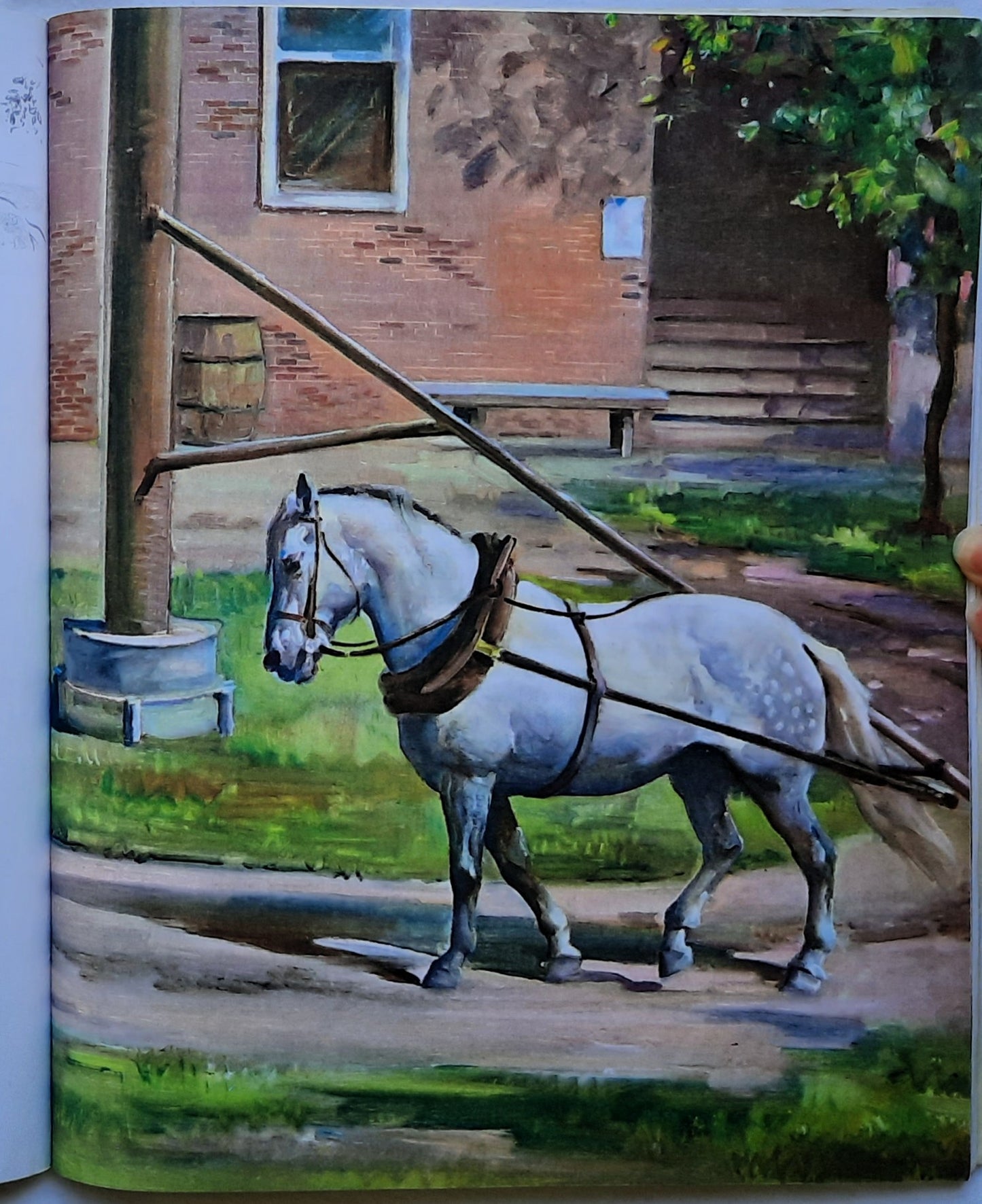 Album of Horses by Marguerite Henry; Wesley Dennis (Very good, 1994, Pbk, 110 pages, Scholastic)