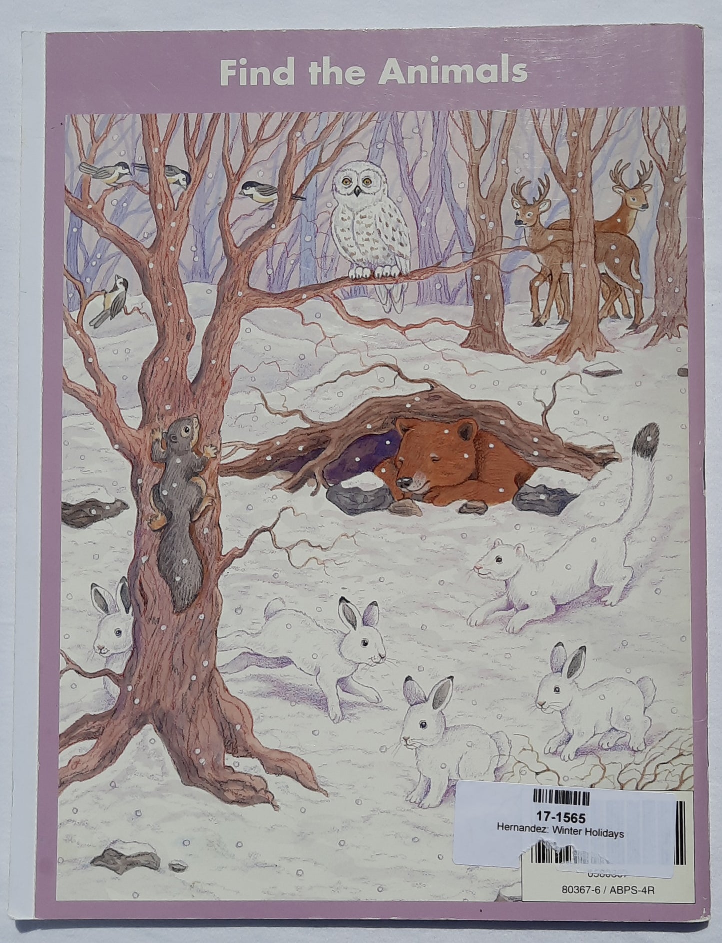 Winter Holidays by Catherine Hernandez (Very good, 1995, Pbk, 24 pages, Brighter Vision)
