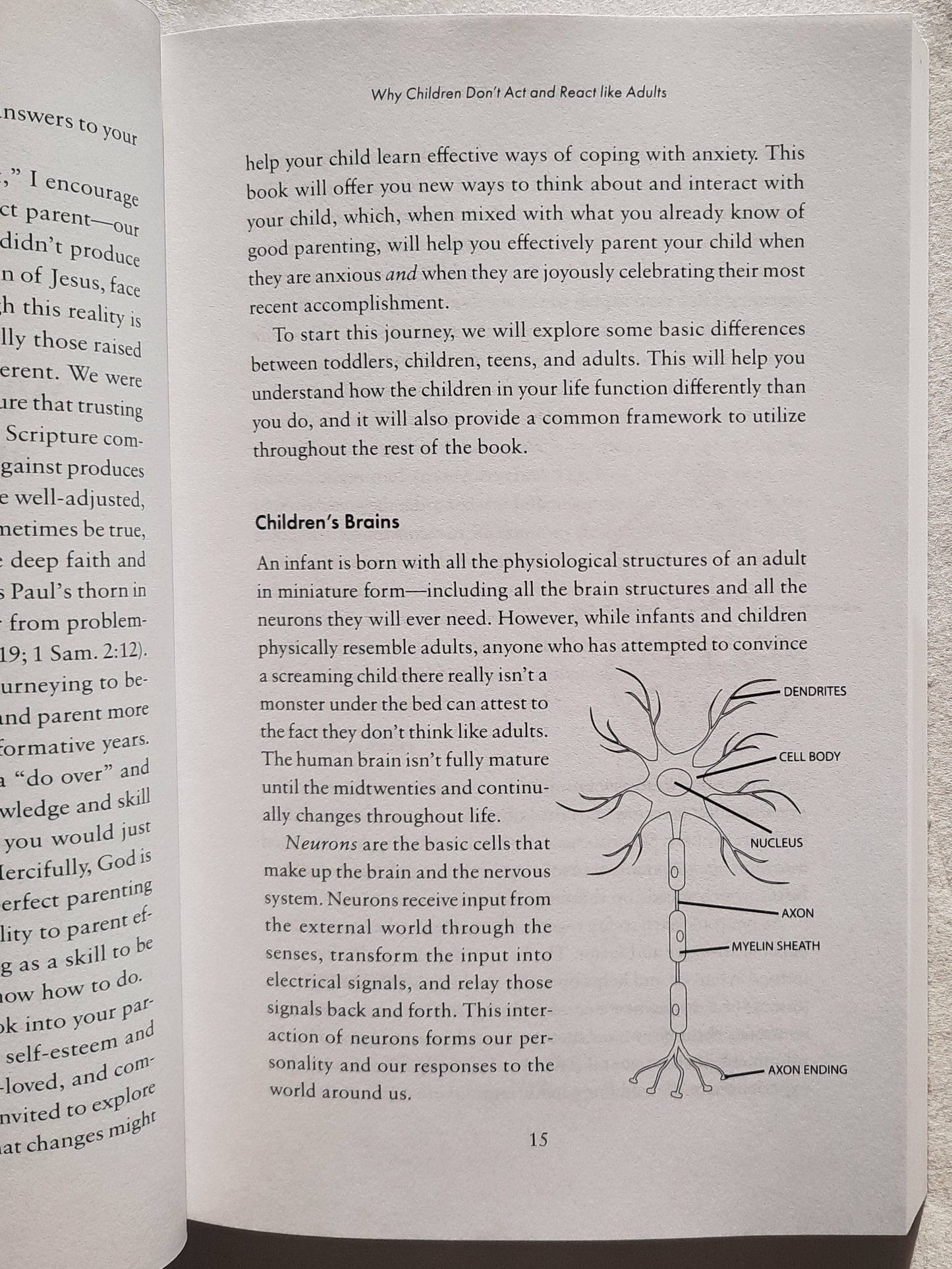 When Anxiety Roars: Partnering with Your Child to Tame Worry and Anxiety by Jean Holthaus LISW, LMSW (New, 2022, Pbk, Revell, 272 pages)