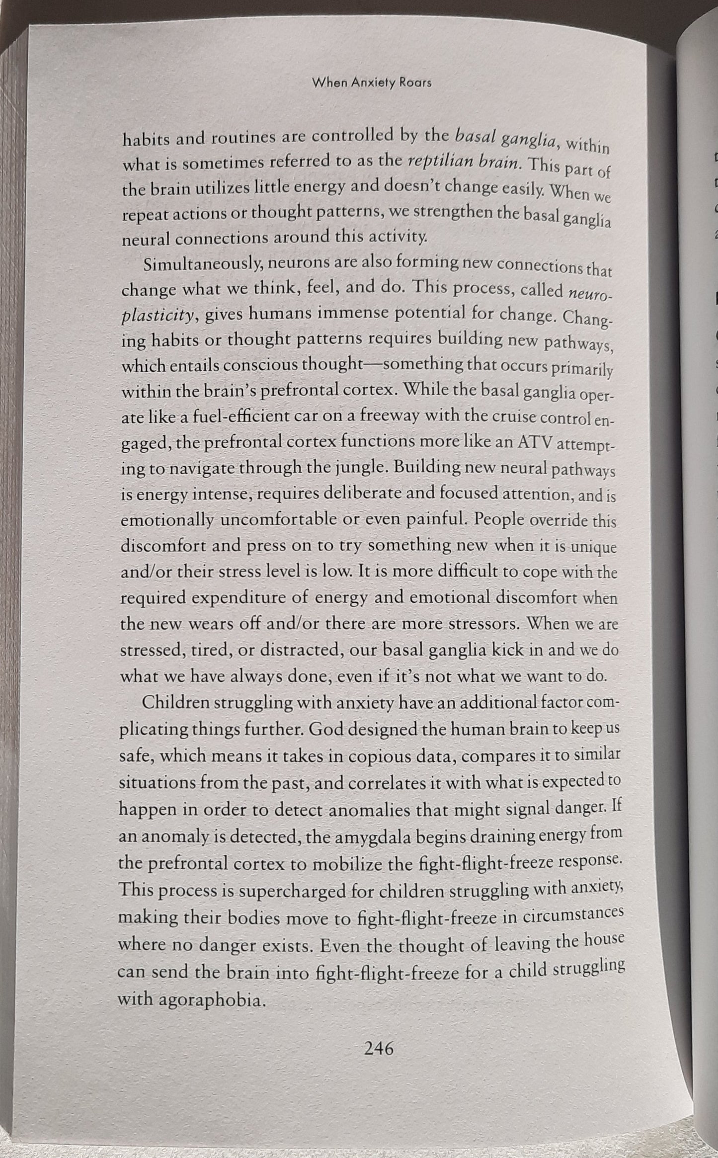 When Anxiety Roars: Partnering with Your Child to Tame Worry and Anxiety by Jean Holthaus LISW, LMSW (New, 2022, Pbk, Revell, 272 pages)
