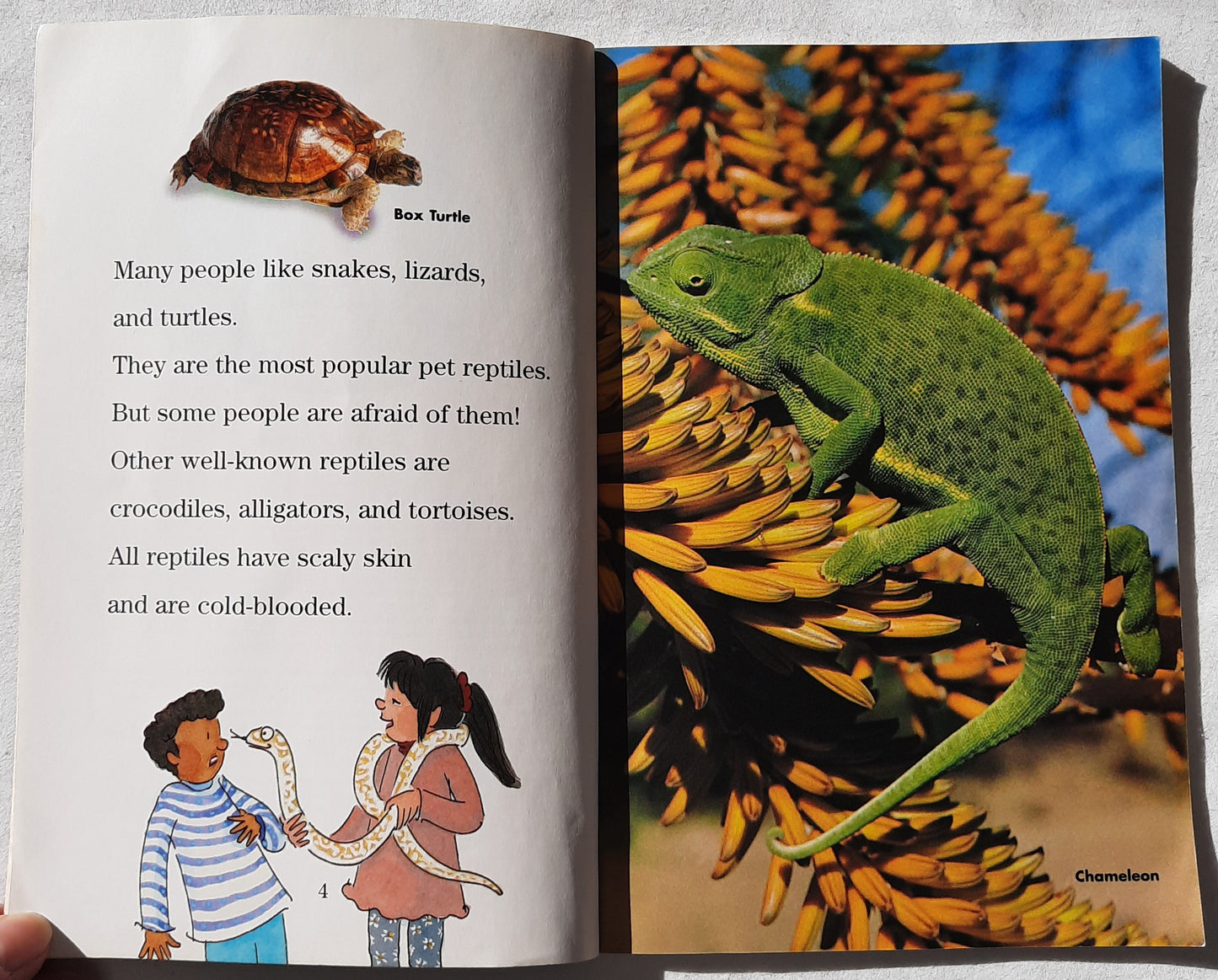 Why Do Snakes Hiss? by Joan Holub (Good, 2006, Pbk, 48 pages, Scholastic)