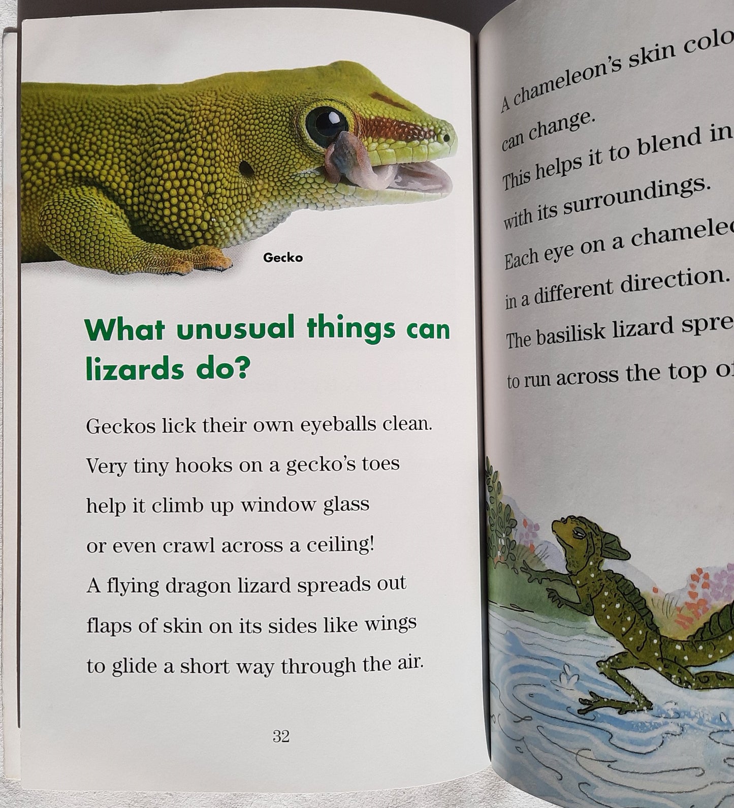 Why Do Snakes Hiss? by Joan Holub (Good, 2006, Pbk, 48 pages, Scholastic)