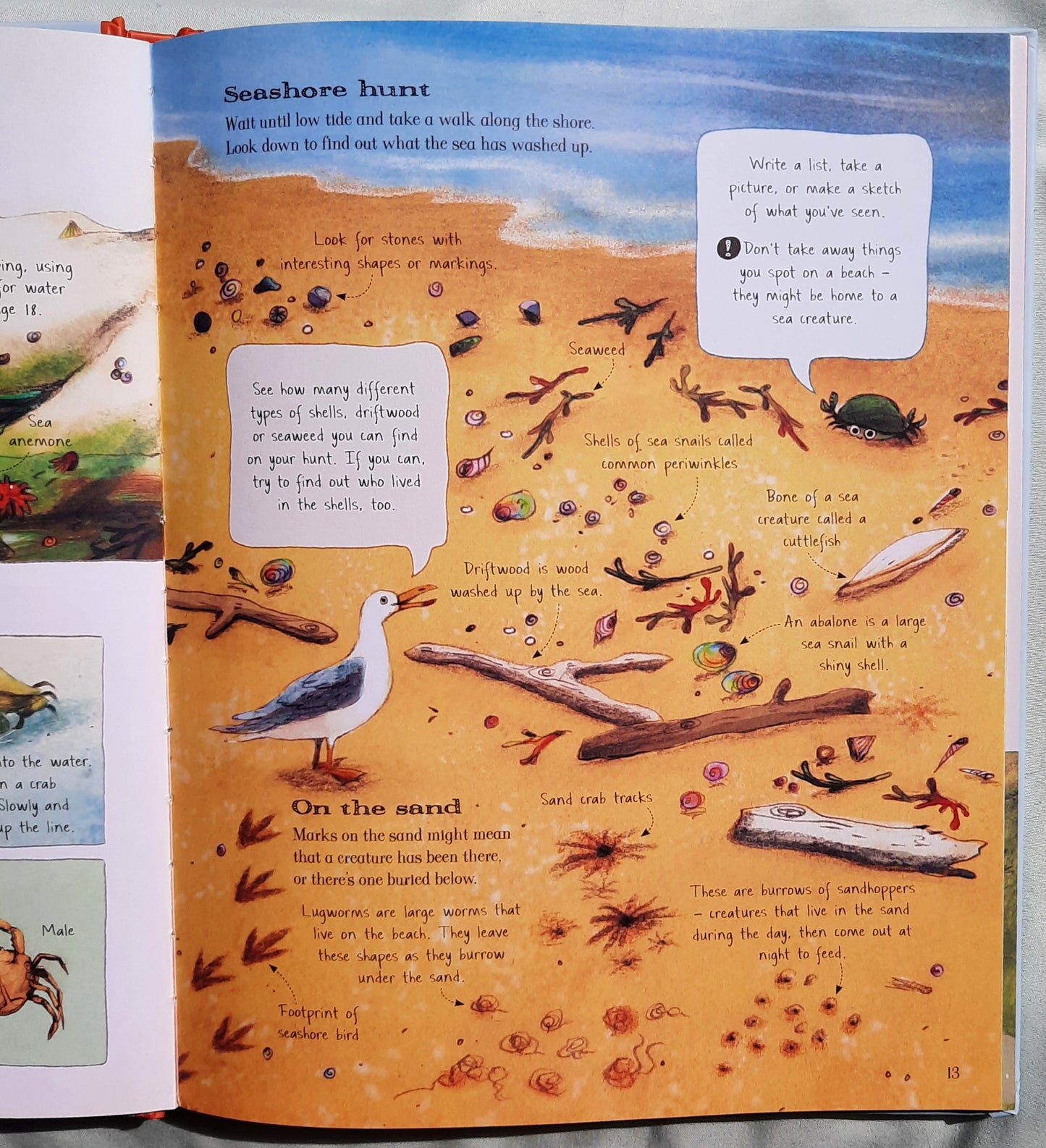 The Usborne Outdoor Book by Alice James; Emily Bone (Very good, 2016, HC, 64 pages, Usborne Books)