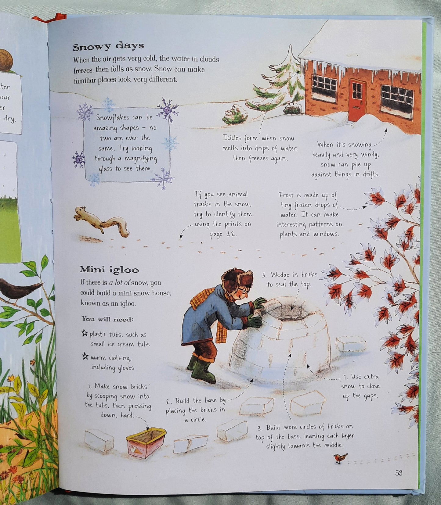 The Usborne Outdoor Book by Alice James; Emily Bone (Very good, 2016, HC, 64 pages, Usborne Books)