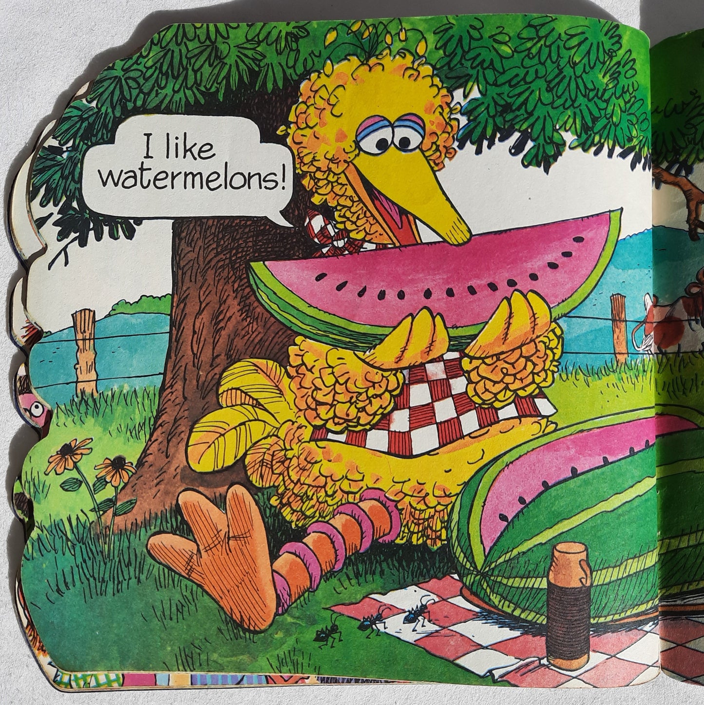 Big Bird and Little Bird's Big and Little Book by Emily Perl Kingsley; Mel Crawford (Sesame Street, Good, 1978, Pbk, 24 pages, Western Publishing Co.)