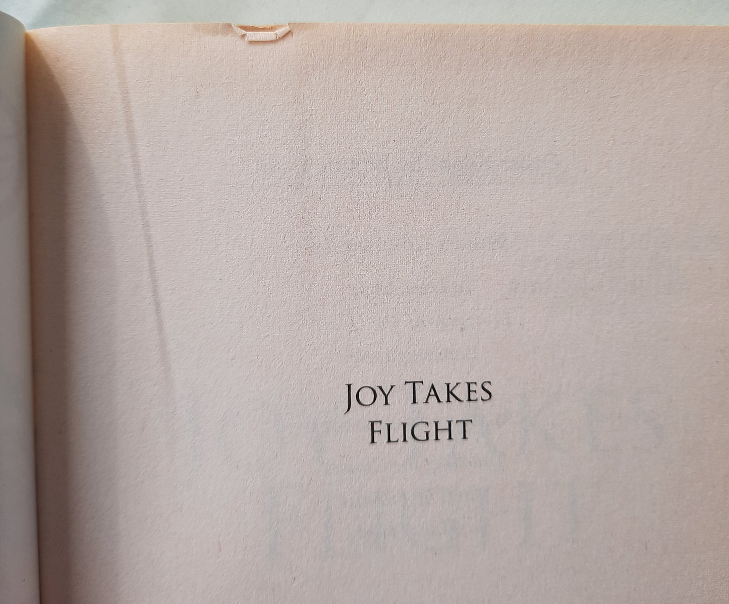 Joy Takes Flight by Bonnie Leon (Alaskan Skies #3, Very good, 2012, Pbk, 324 pages, Revell)