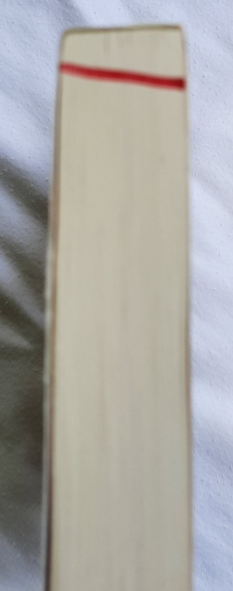 The Disreputable History of Frankie Landau-Banks by E. Lockhart (Very good, 2008, Pbk, 345 pages, Disney Hyperion Books)
