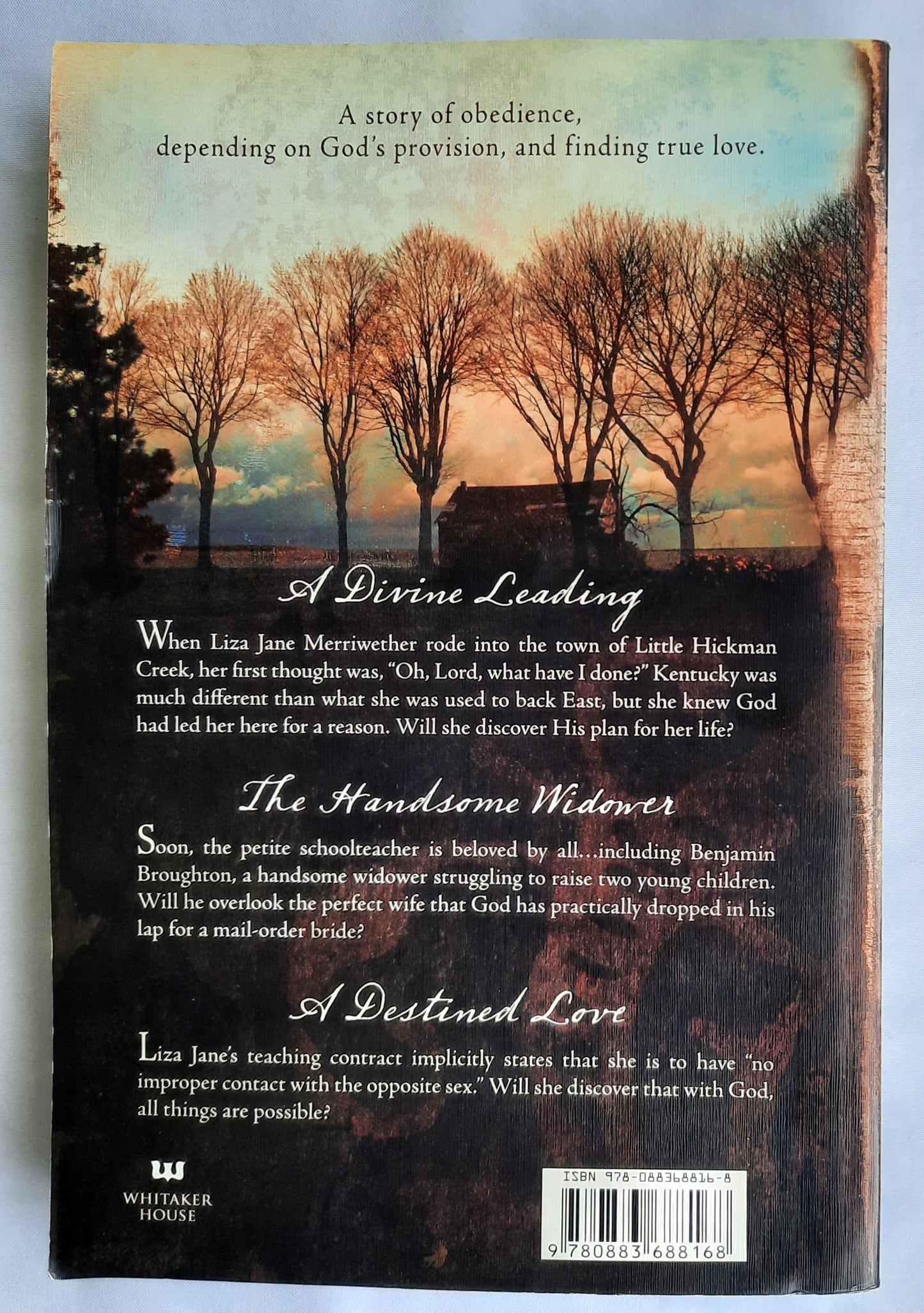 Loving Liza Jane by Sharlene MacLaren (Little Hickman Creek #1, Very good, 2007, Pbk, 352 pages, Whitaker House)