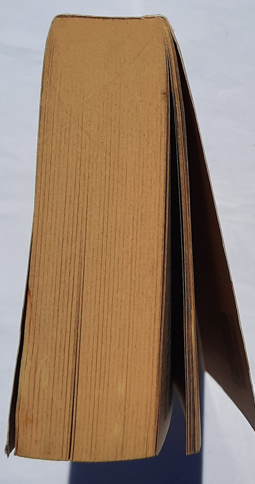 Christy by Catherine Marshall (Very good, 2006, Pbk, 558 pages, Avon Books)