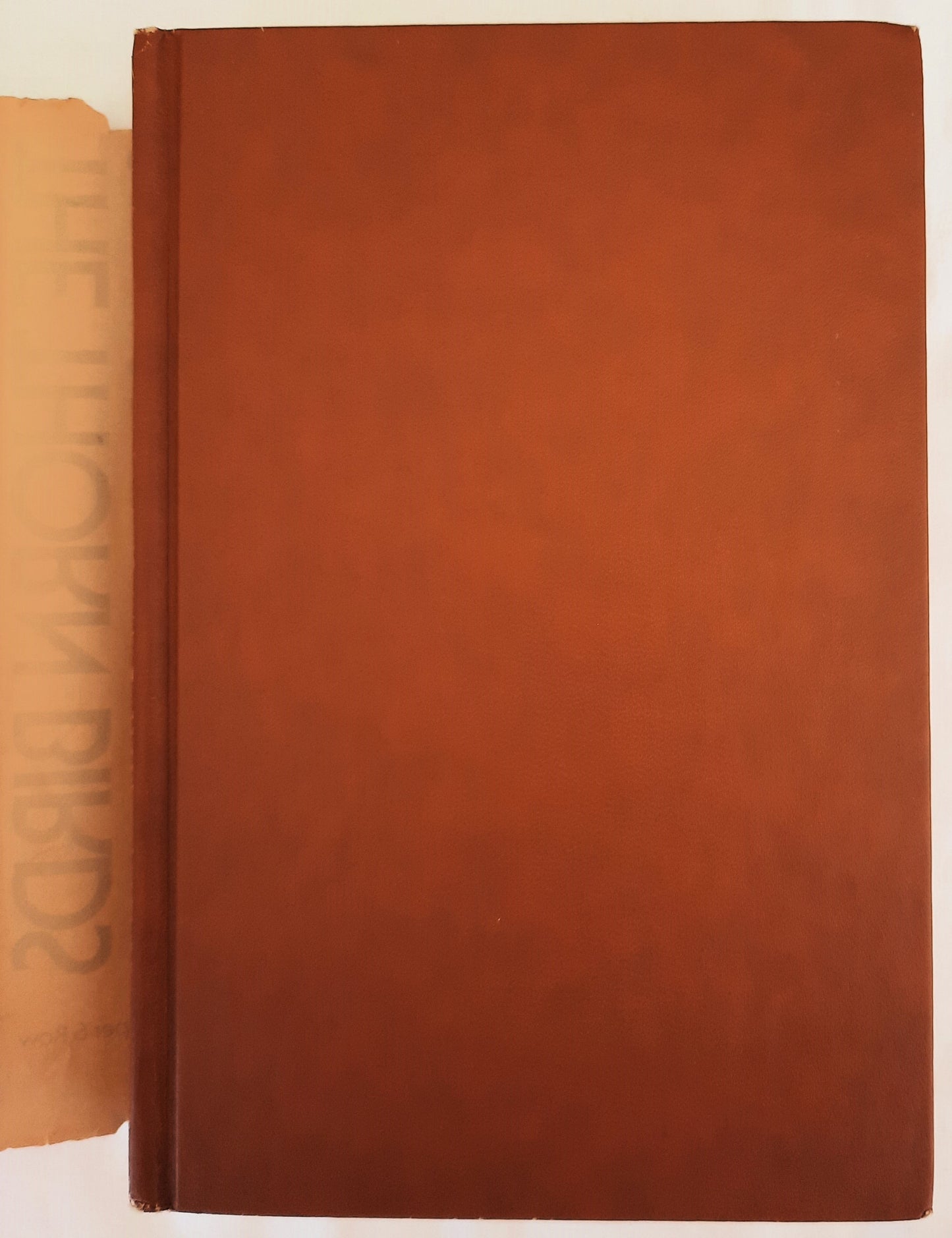 The Thorn Birds by Colleen McCullough (Very good, 1977, HC, 560 pages, Harper & Row)