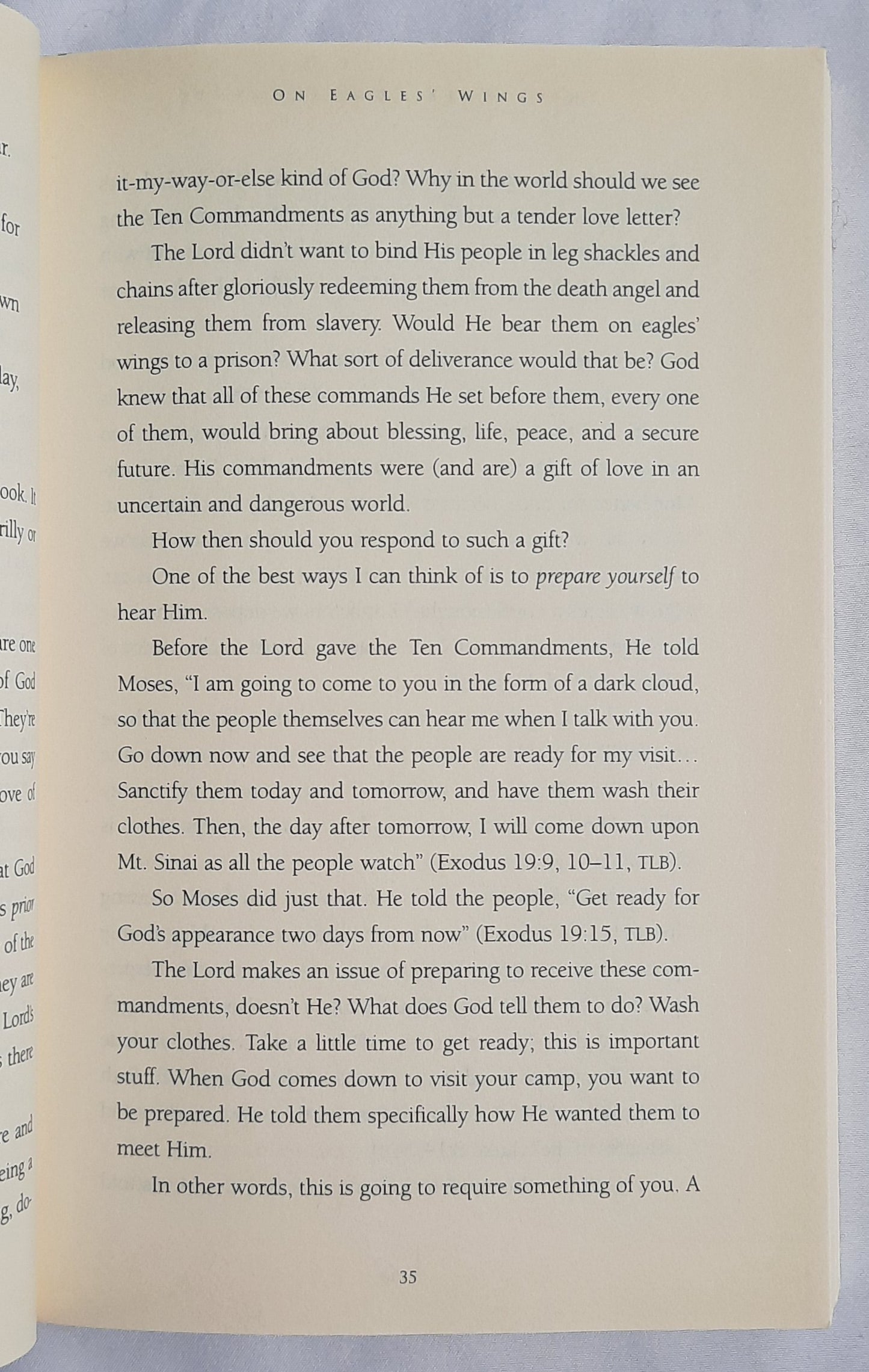 The Tender Commandments by Ron Mehl (Very good, 1998, Pbk, 259 pages, Multnomah)