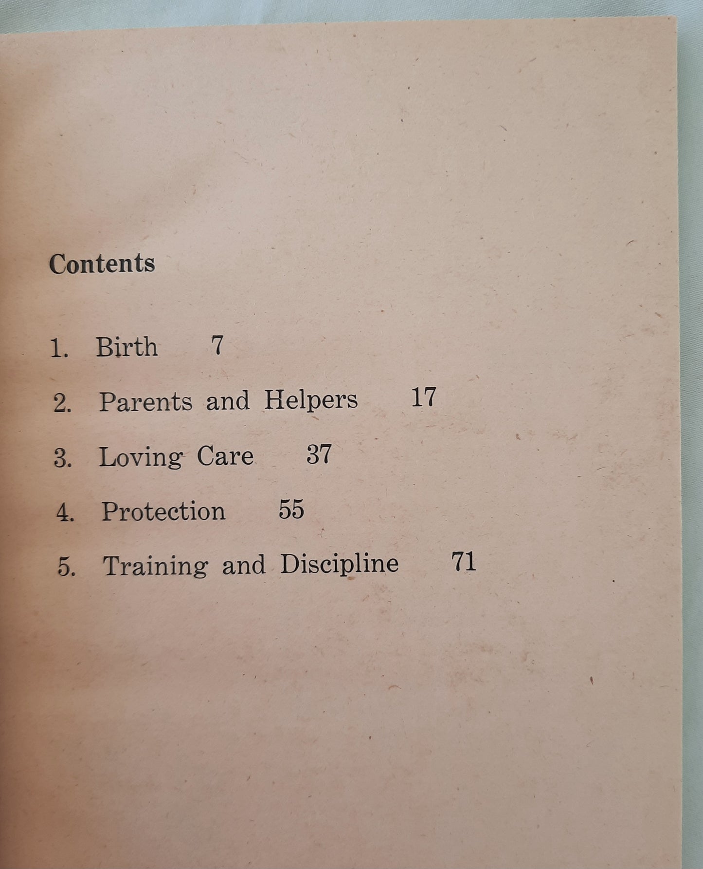 Walt Disney's True Life Adventures: Animal Babies by Toni Merrick (Good, 1972, Pbk, 96 pages, Xerox)