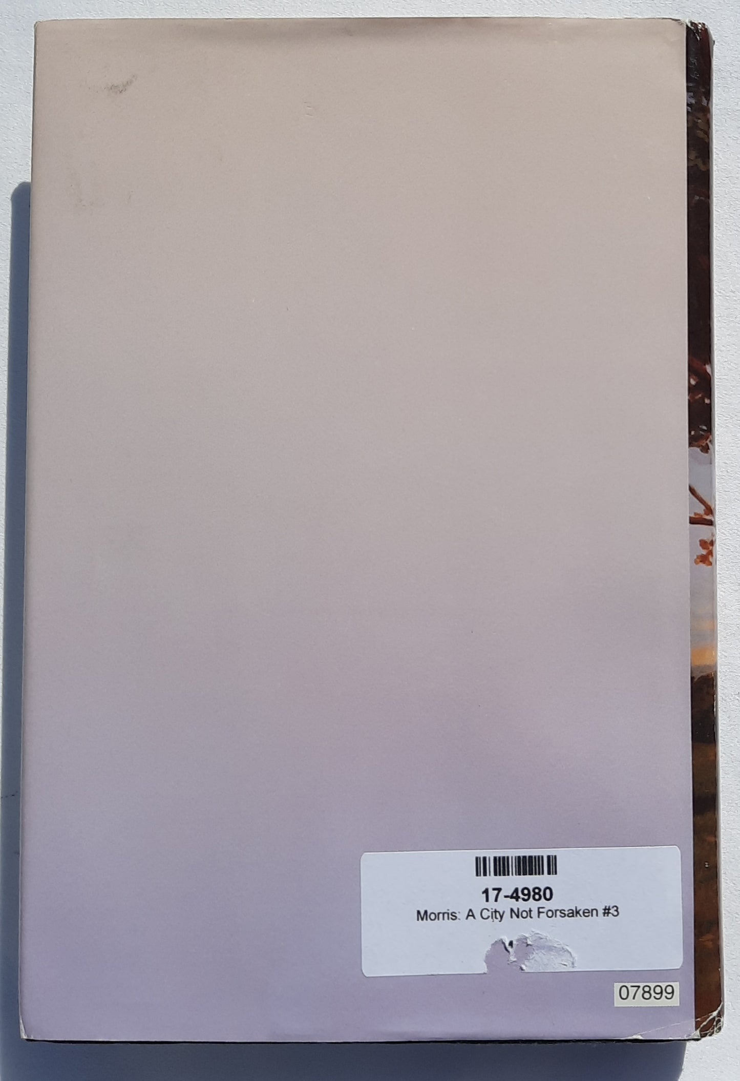 A City Not Forsaken #3 by Lynn Morris; Gilbert Morris (Cheney Duvall, M.D. Very good, 1995, HC, 335 pages, Bethany House)