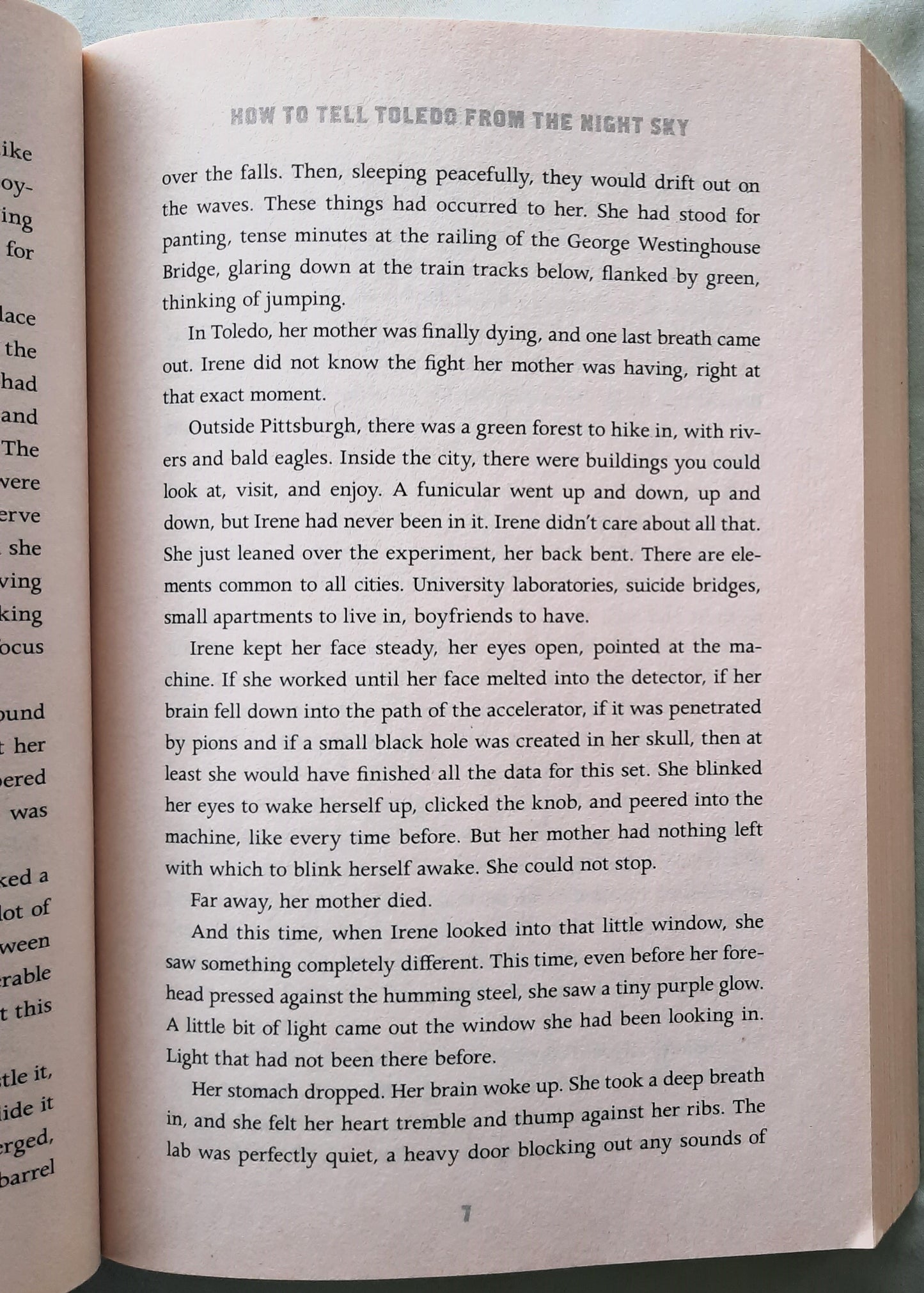 How to Tell Toledo from the Night Sky by Lydia Netzer (Good, 2014, Pbk, 339 pages, St. Martin's Press)