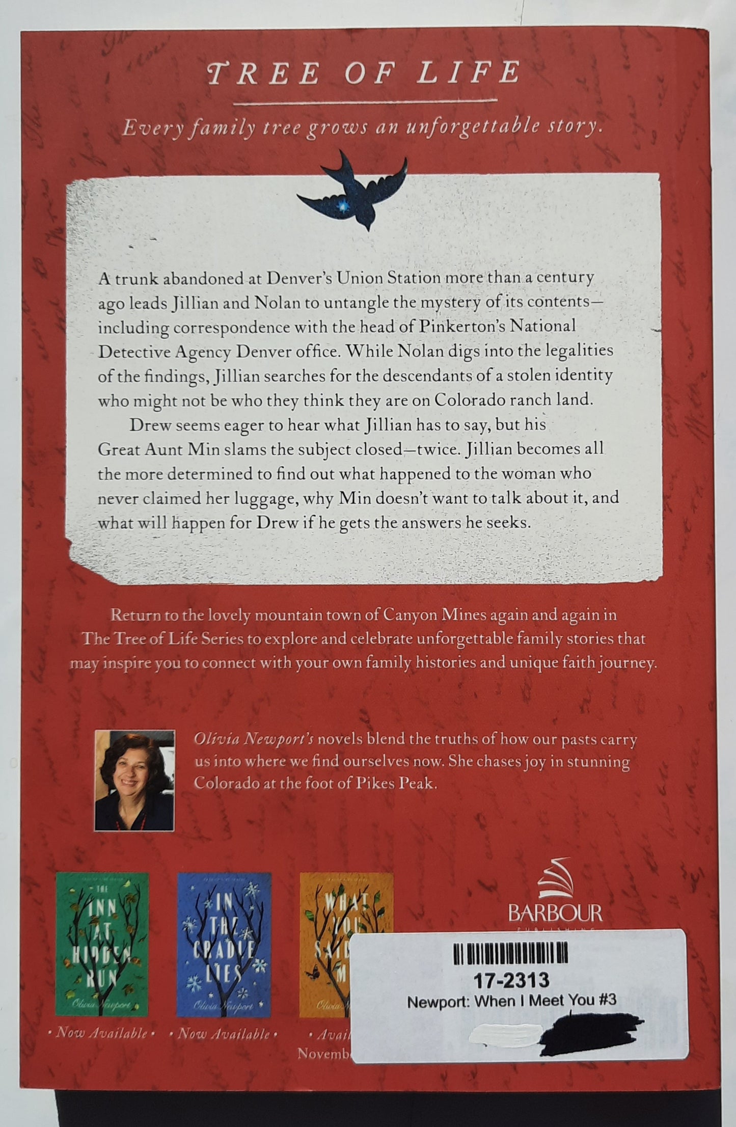 When I Meet You by Olivia Newport (Tree of Life #3, New, 2020, Pbk, 256 pages, Barbour)