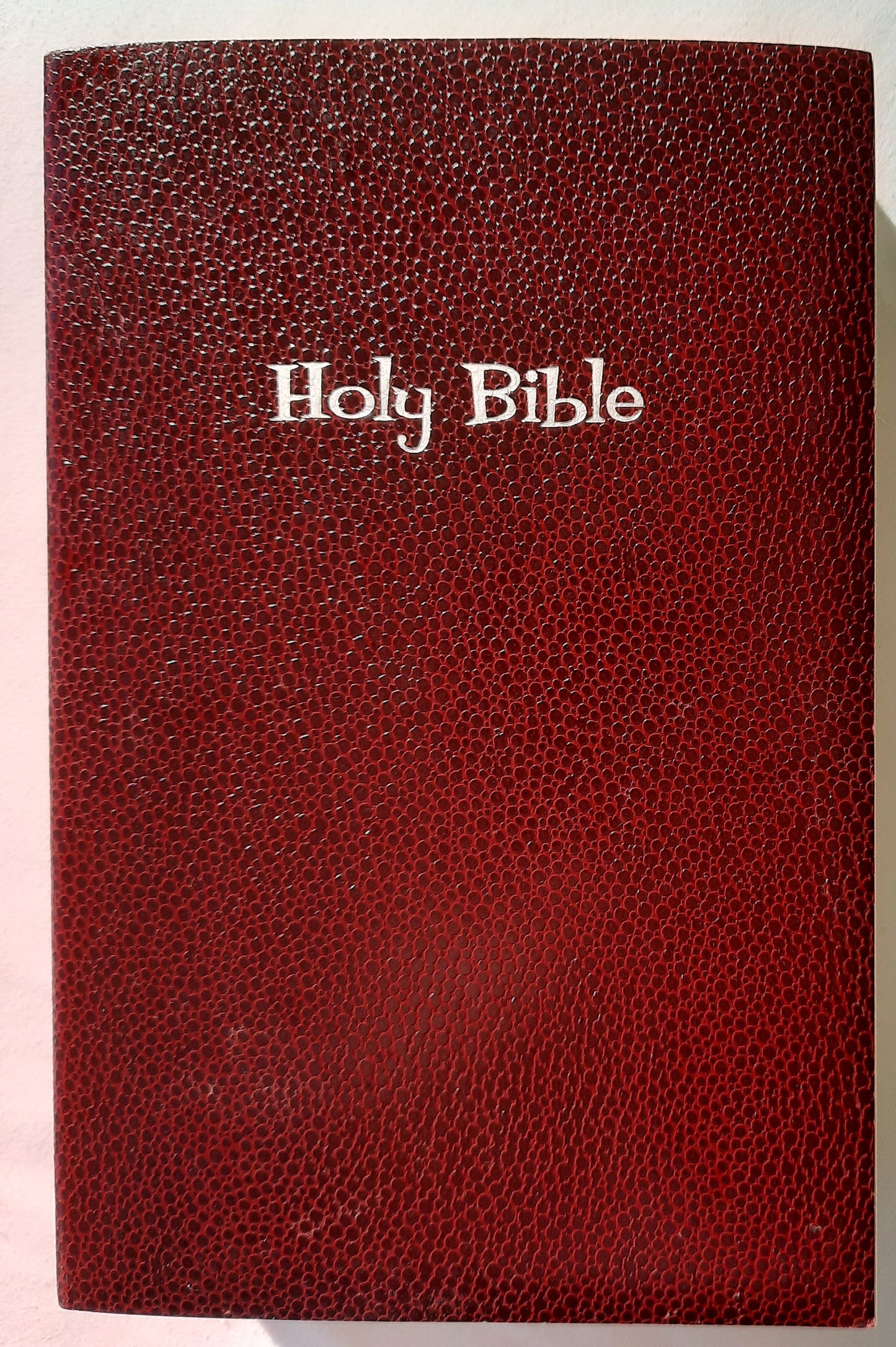 NiRV Holy Bible Gift & Award Bible (Very good, 1999, PBk, 1011 pages, Zonderkidz)