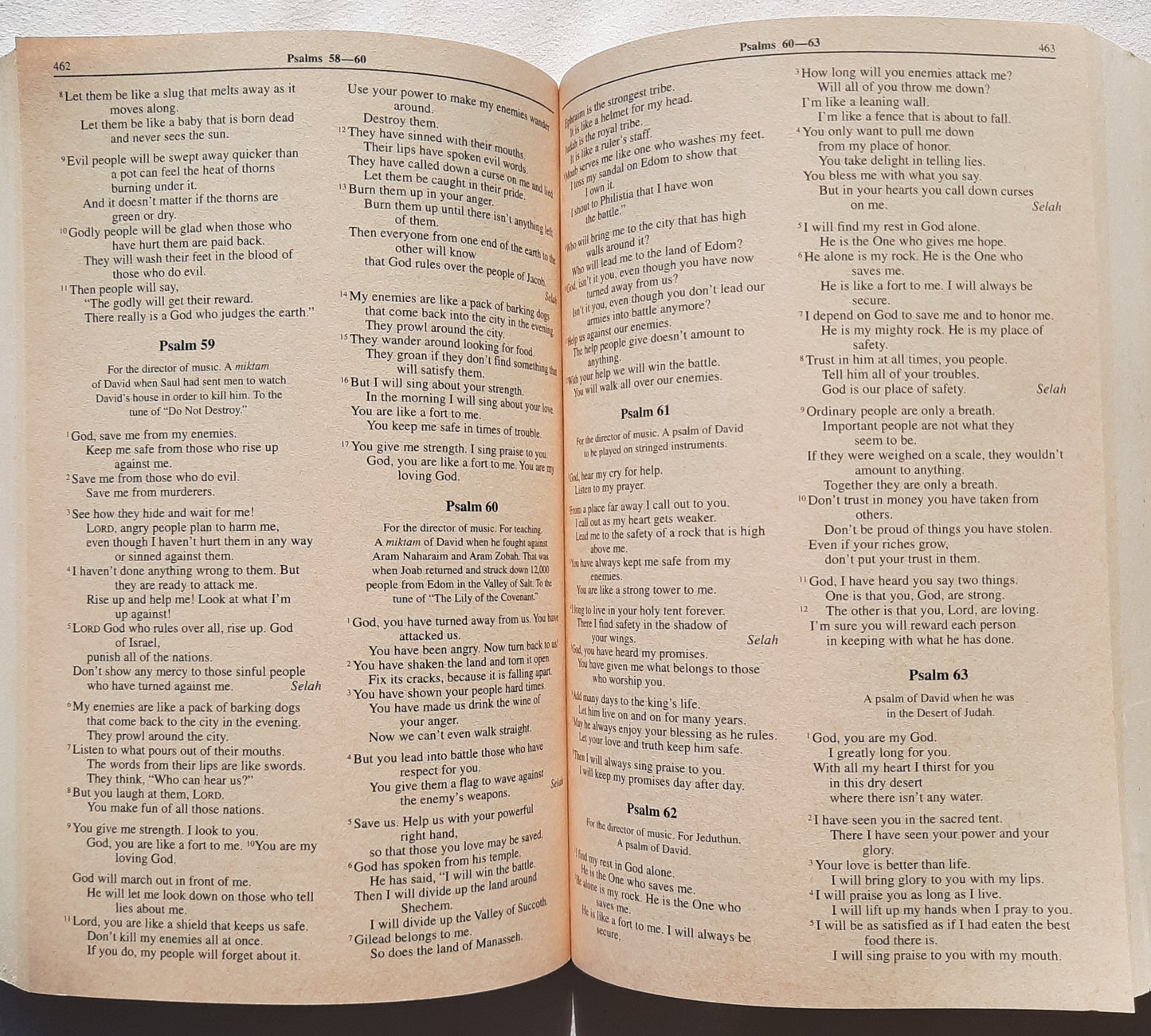 NiRV Holy Bible Gift & Award Bible (Very good, 1999, PBk, 1011 pages, Zonderkidz)