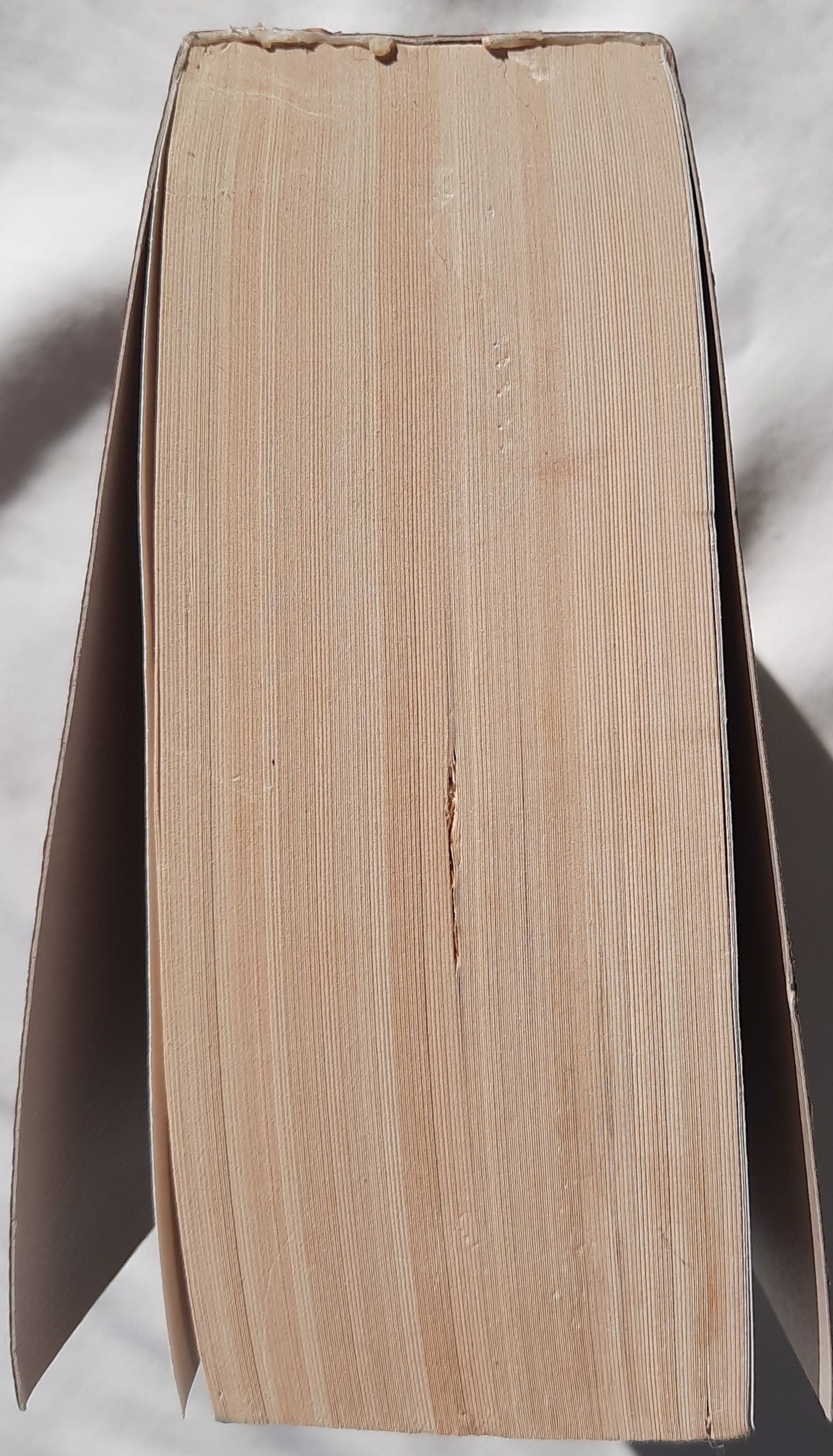 NiRV Holy Bible Gift & Award Bible (Very good, 1999, PBk, 1011 pages, Zonderkidz)